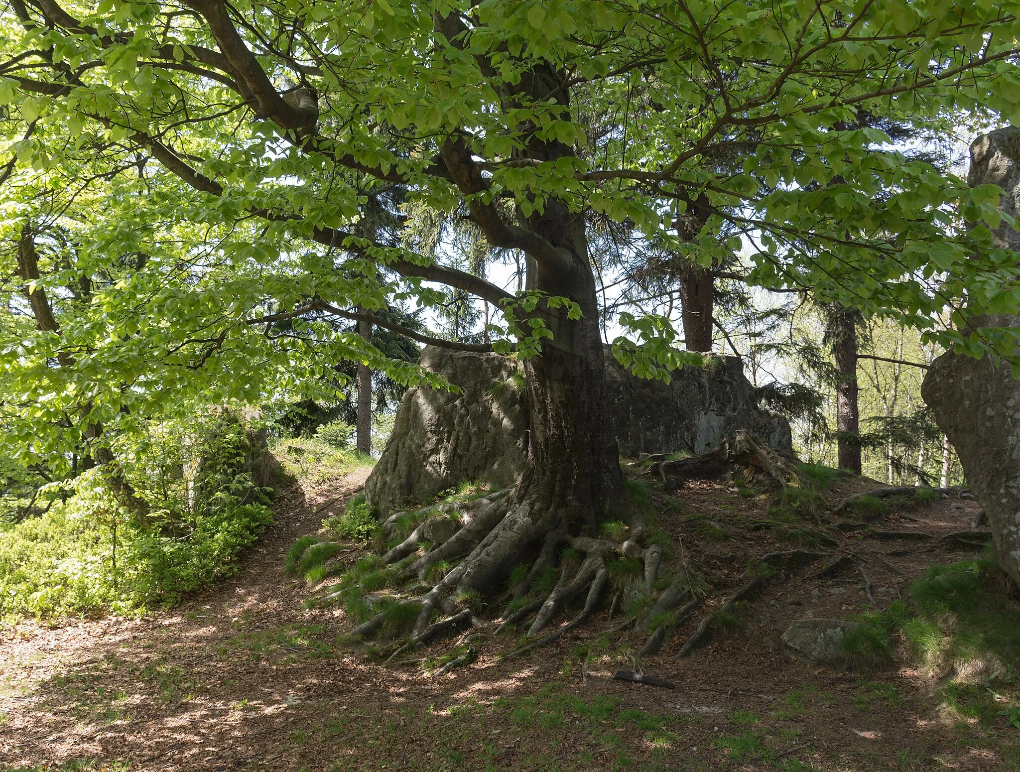 Photo showing: Fort Charles in Stołowe Mountains