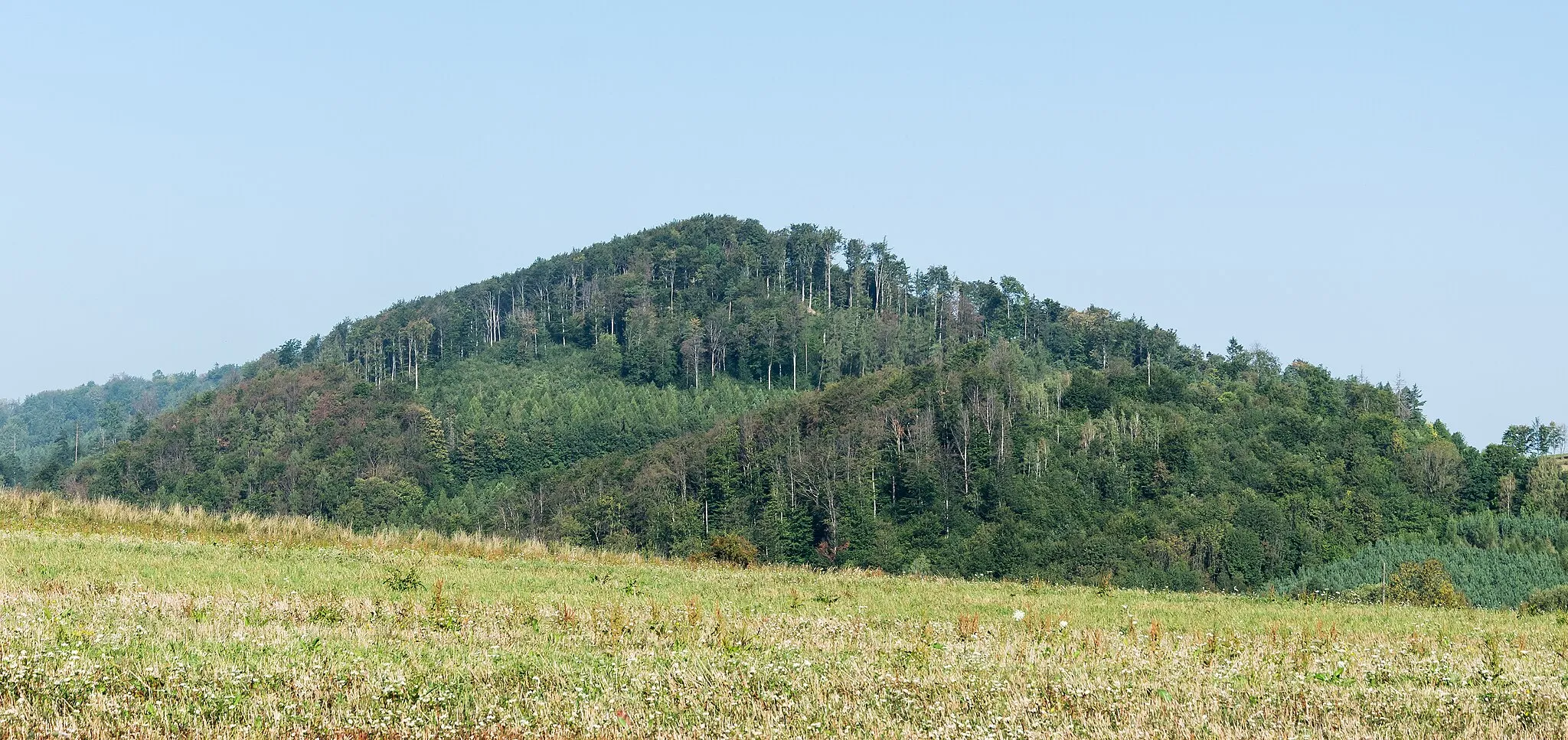 Photo showing: This is a photography of protected area with CRFOP ID