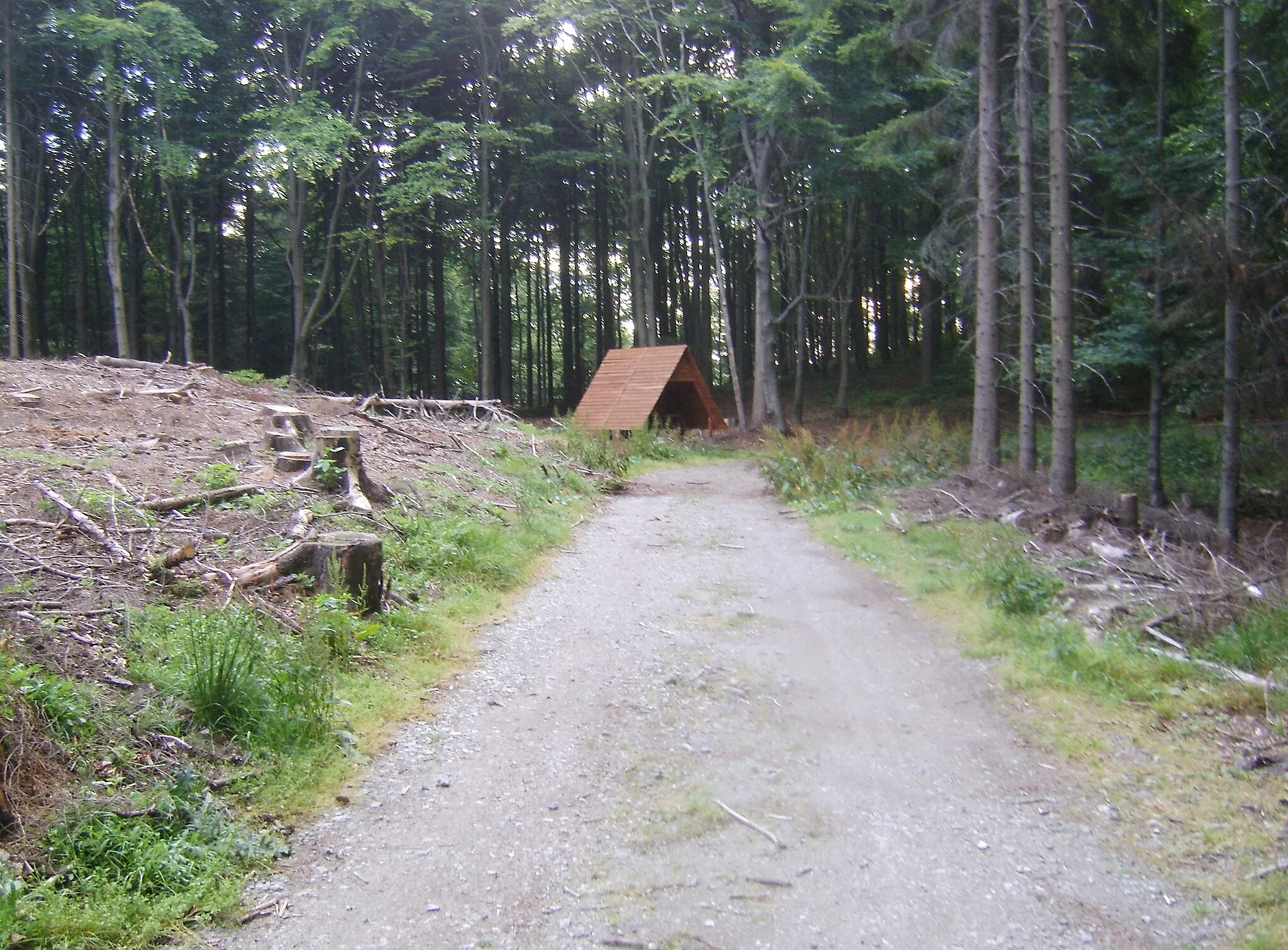 Photo showing: Przełęcz pod Szeroką – przełęcz w południowo-zachodniej Polsce w Sudetach Środkowych w Górach Sowich