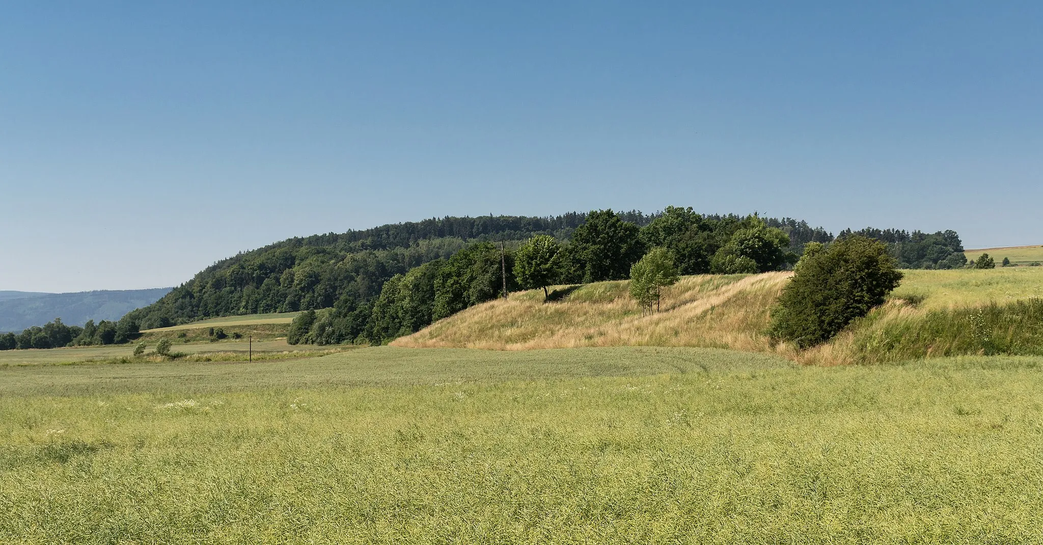 Photo showing: Czerwoniak, Bystrzyckie Mountains, Sudetes, Poland