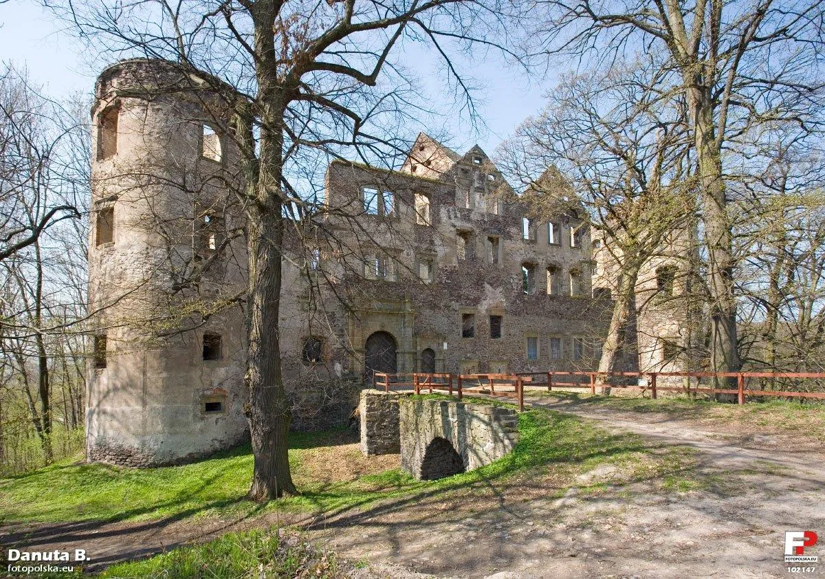 Photo showing: Zamek od strony wejścia. Brama, niestety przed sezonem zamknięta. Własność prywatna.