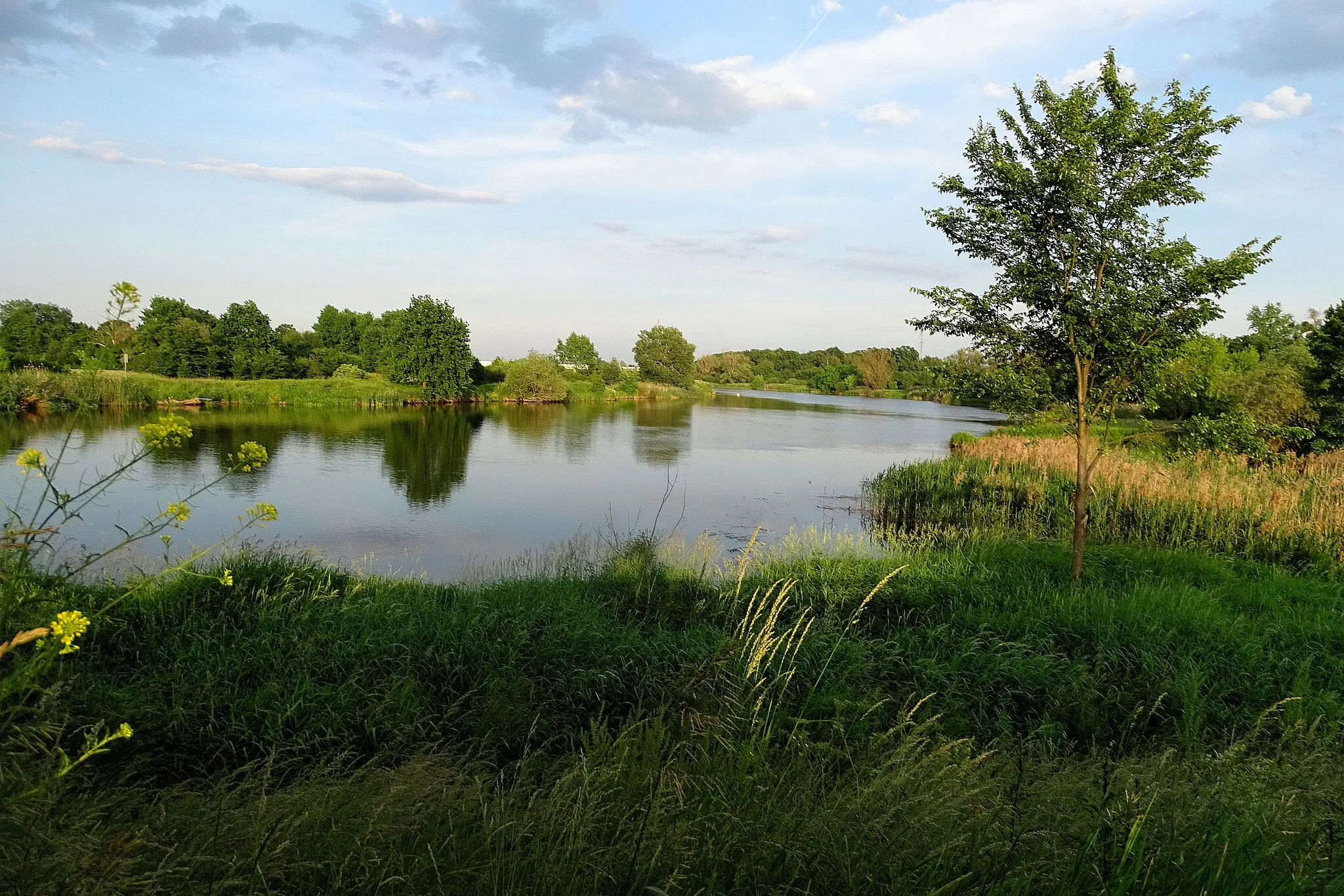 Photo showing: Patrz tytuł