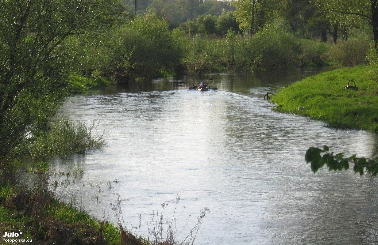 Photo showing: Kajaczkiem po Widawie: widok z północnego brzegu rzeki w okolicy mostu w Szymanowie w kierunku wschodnim