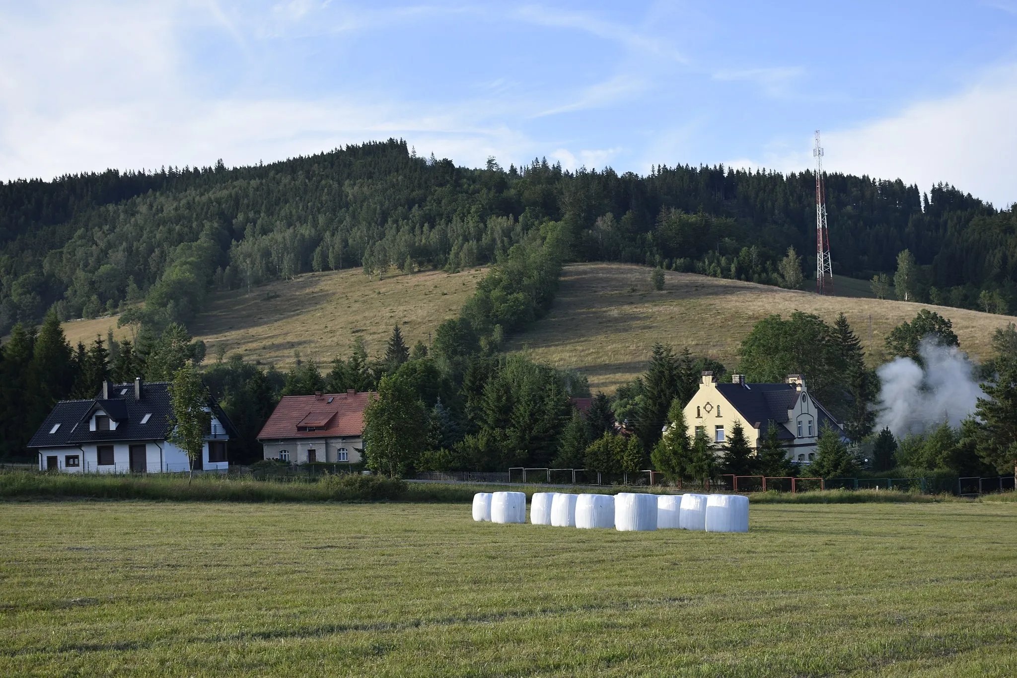 Photo showing: Leszczyniec (województwo dolnośląskie). Polska