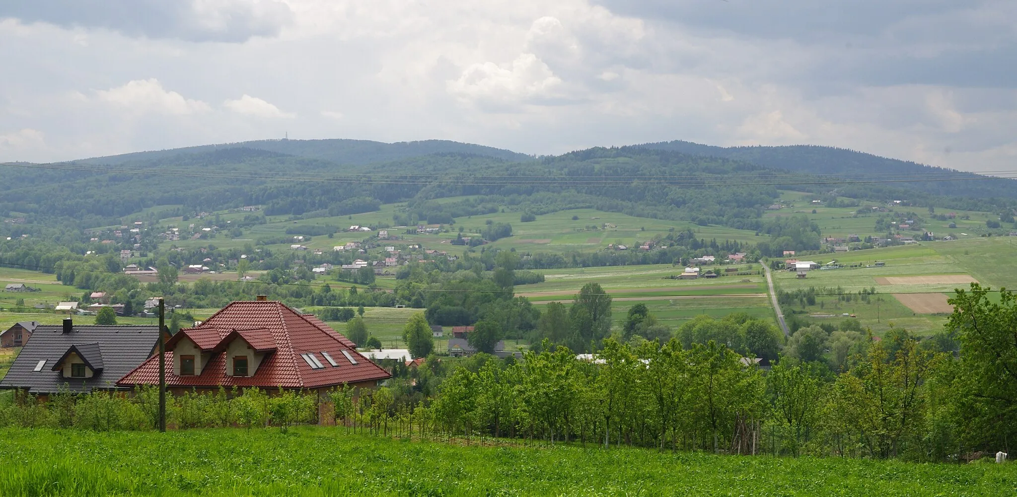 Photo showing: Widok z Biesnej na Maślaną Górę i Zieloną Górę