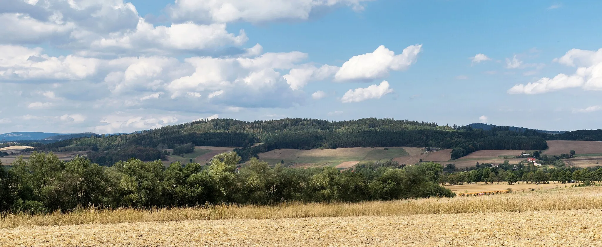 Photo showing: Goliniec Ridge, Bardzkie Mountains, Sudetes