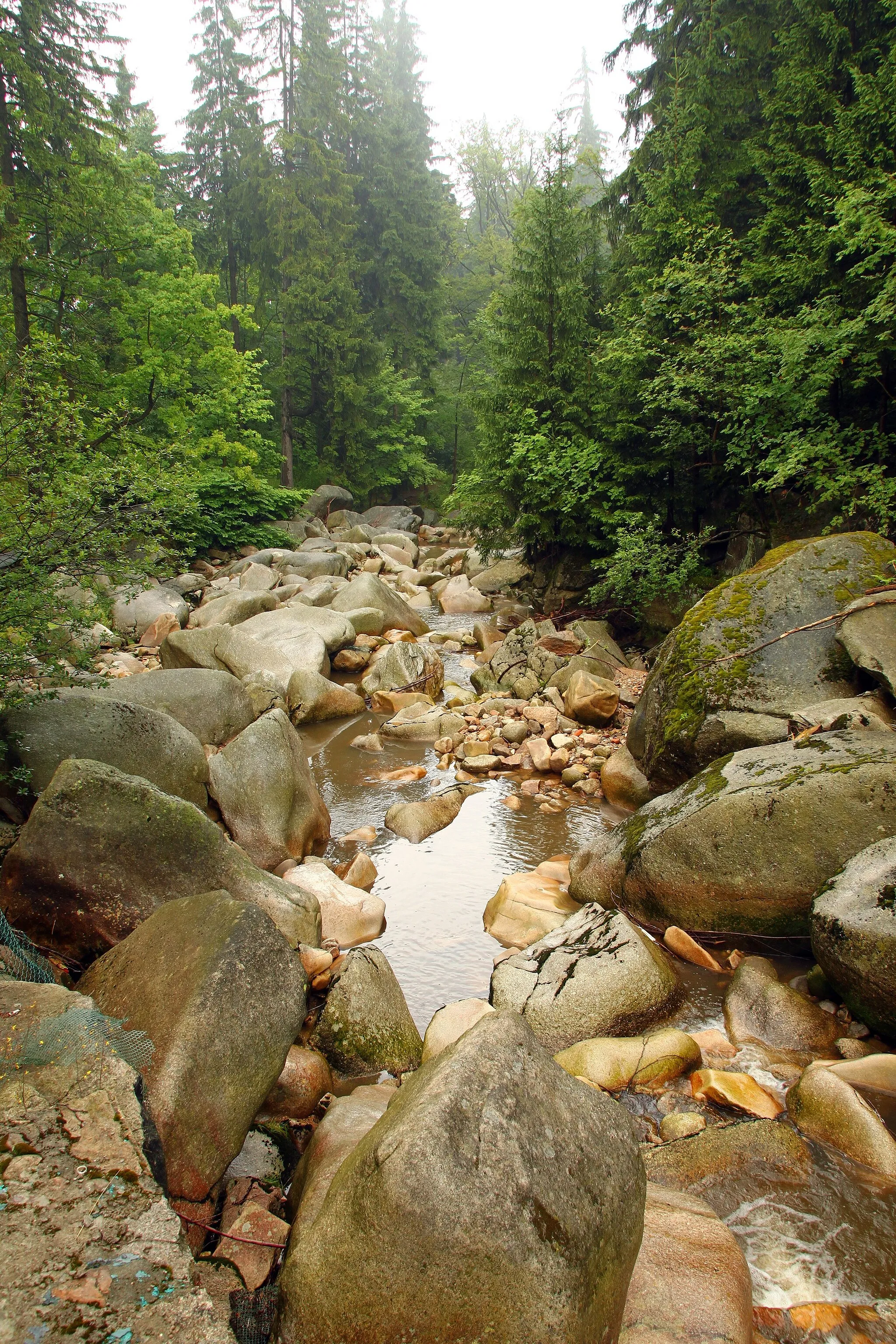 Photo showing: This is a a picture of a Natura 2000 protected area with ID