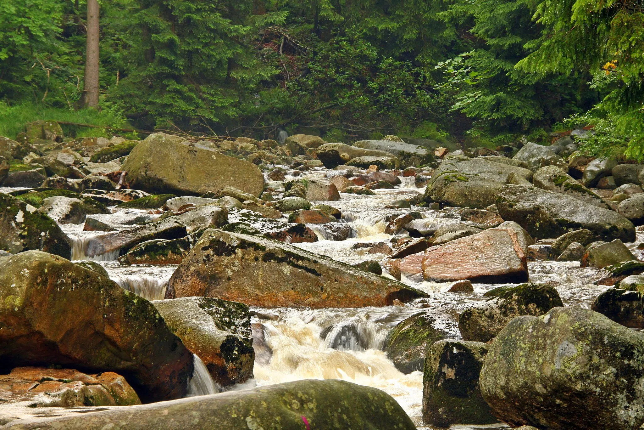 Photo showing: This is a a picture of a Natura 2000 protected area with ID