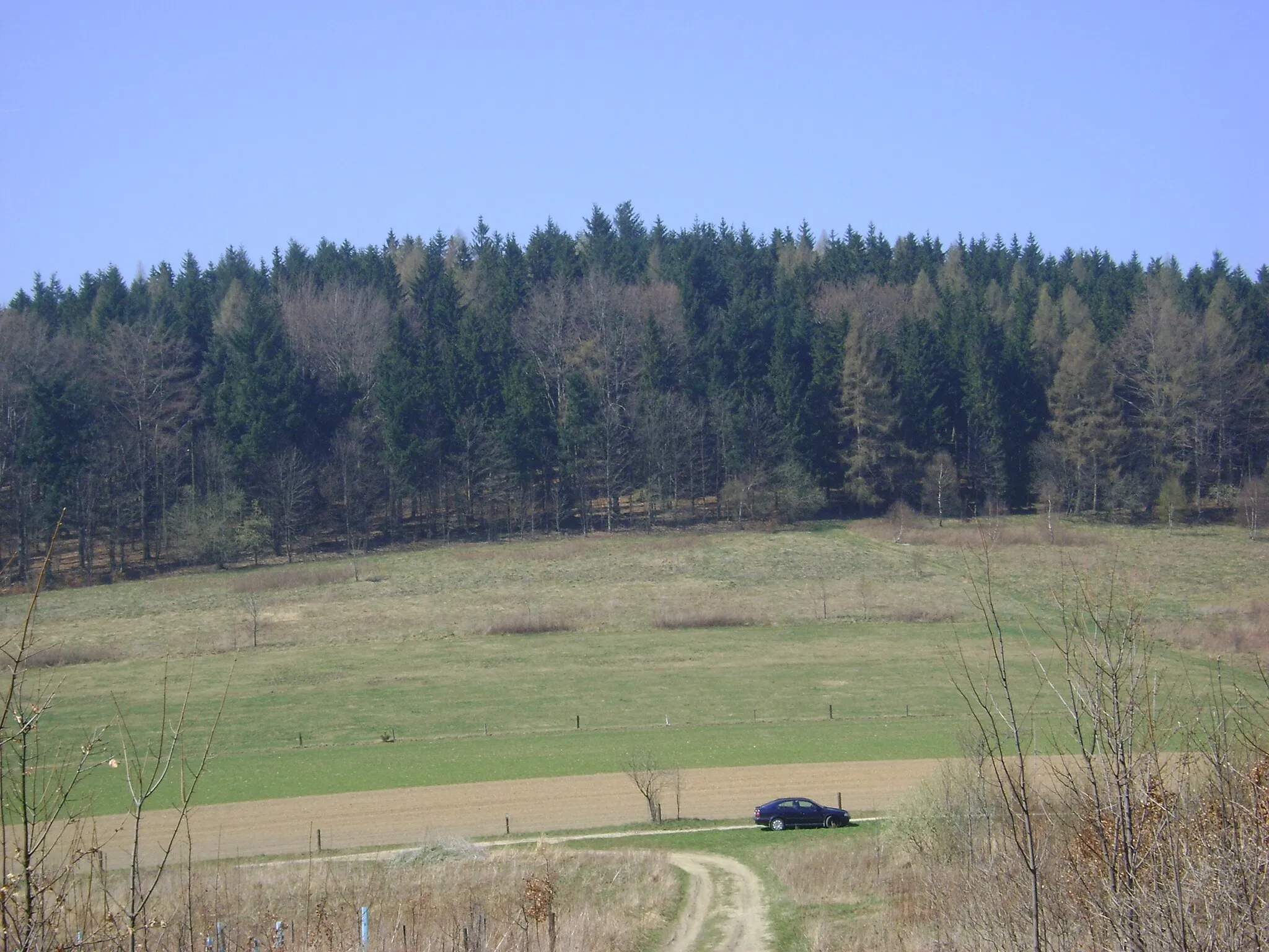 Photo showing: Folwarczna – wzniesienie w południowo-zachodniej Polsce w Górach Kaczawskich (Sudety Zachodnie) woj. dolnośląskie. Widok z zach. stoku Barańca