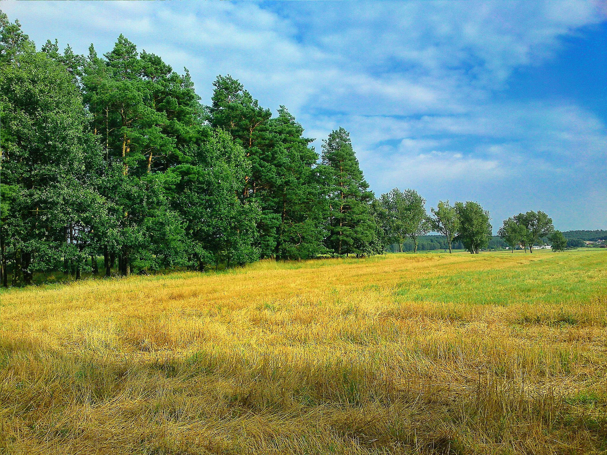 Photo showing: Tuż obok drogi