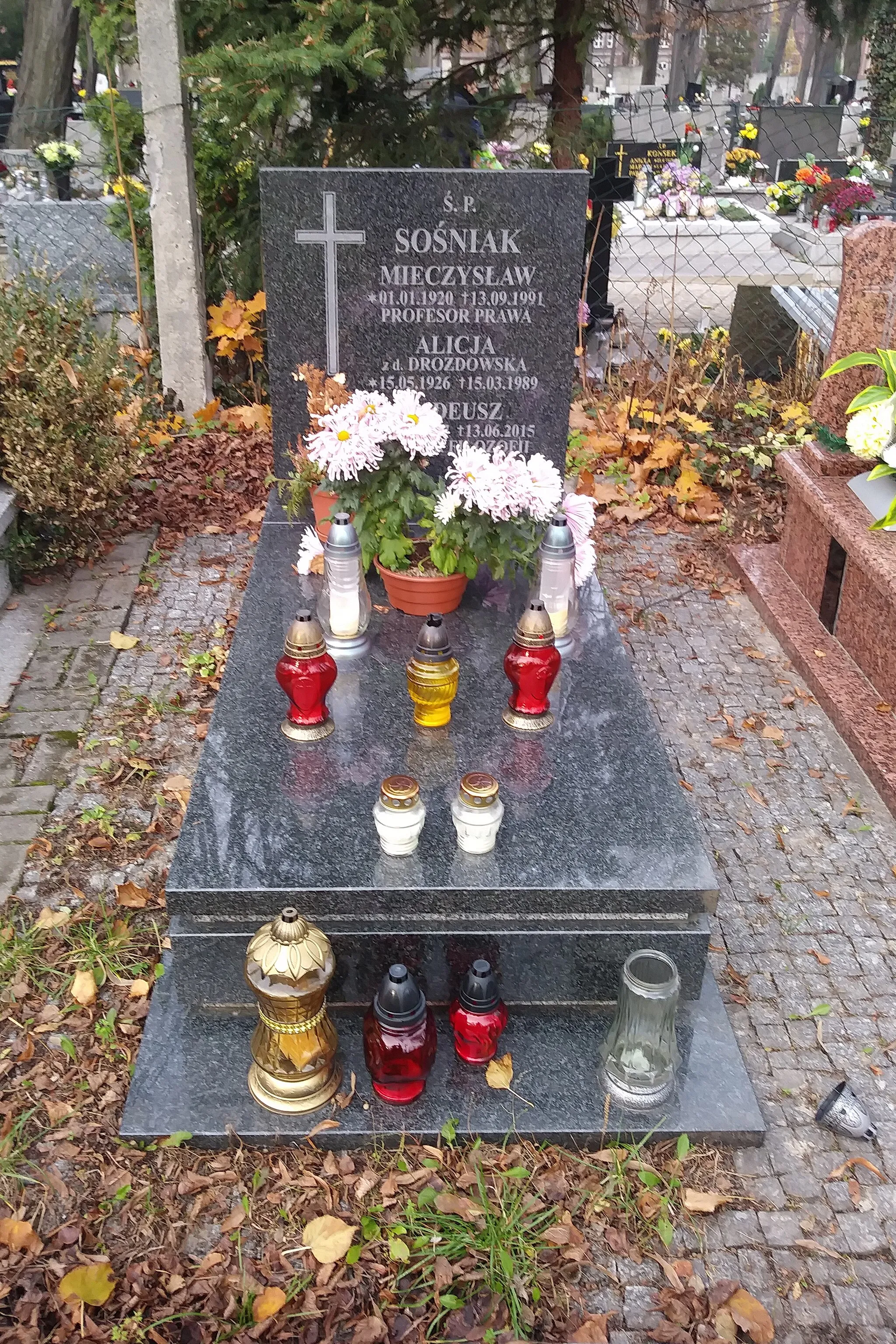 Photo showing: grób Mieczysława, Alicji, Tadeusza Sośniaków na cmentarzu ewangelickim przy ul. Francuskiej w Katowicach