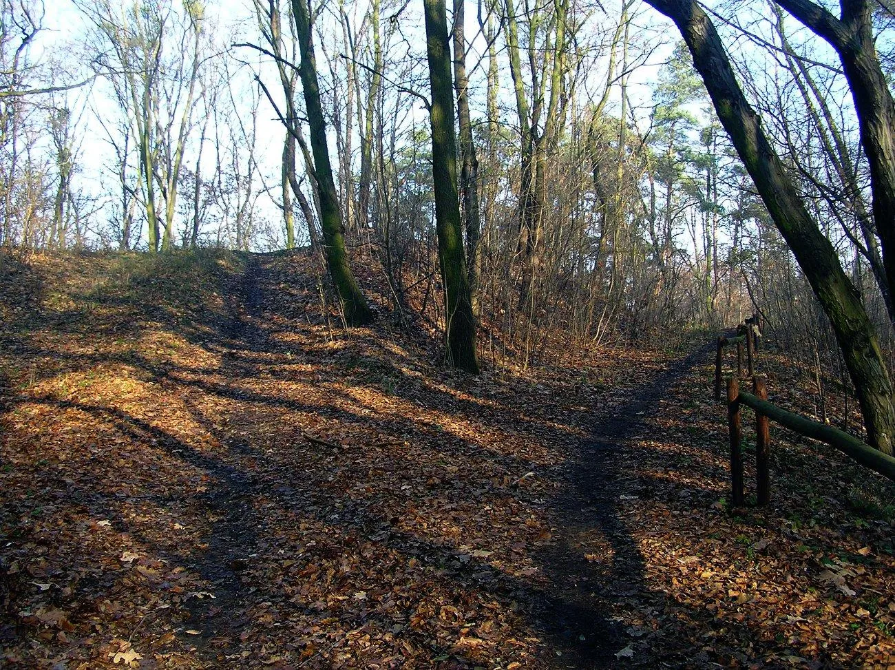 Photo showing: Szaniec Szwedzki w Lesie Osobowickim - na pierwszym planie dawny tor saneczkowy.