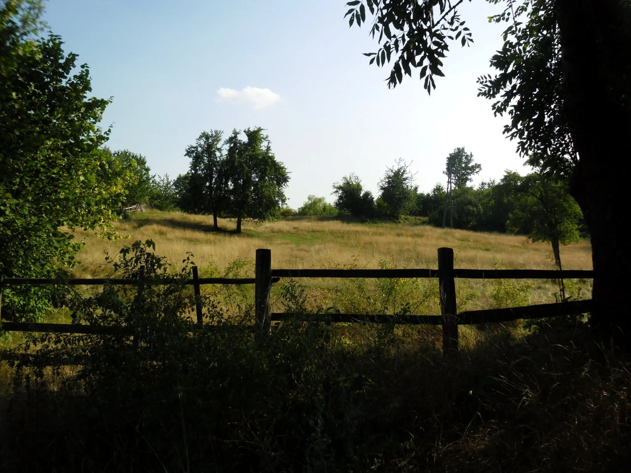 Photo showing: Wawrzyszów, Poland