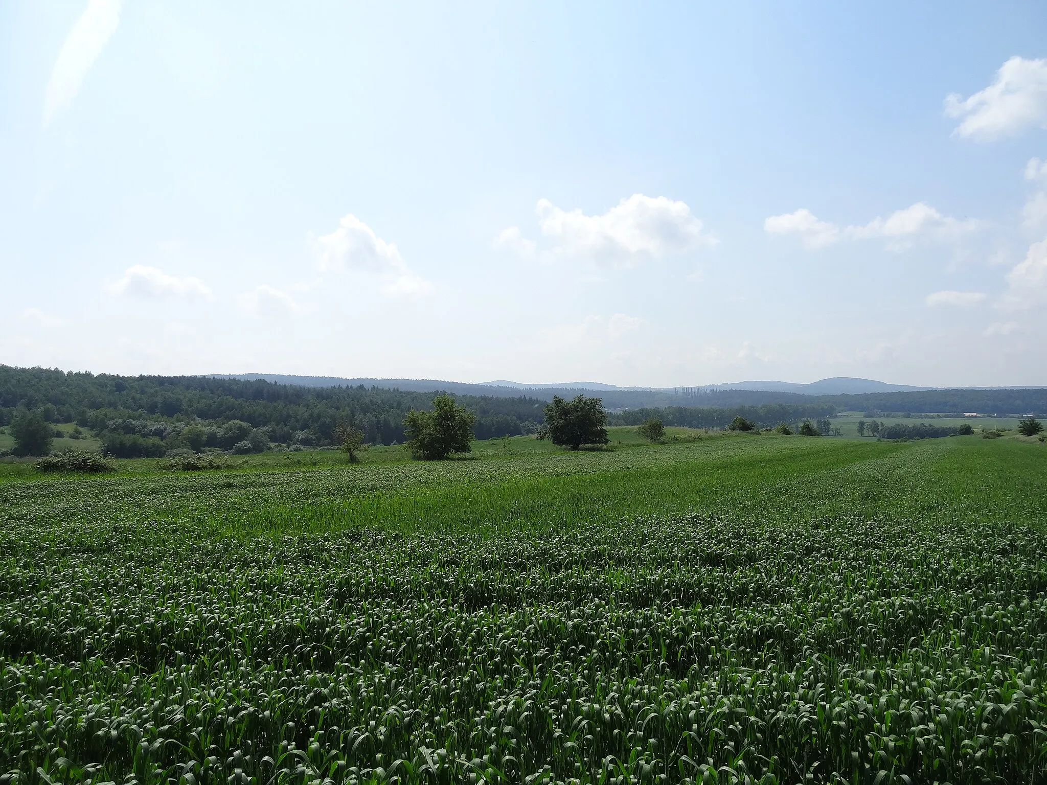 Photo showing: Panorama Wzgórz Strzelińskich z Góry Gliczyny