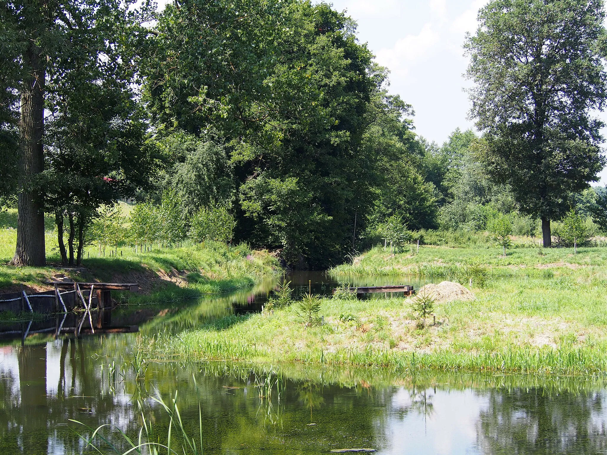 Photo showing: Pond on the Kacanka river in Wiśniowa, village in powiat staszowski, Świętokrzyskie Voivodeship, Poland. Backwaters on the channel supplying water to the old mill.