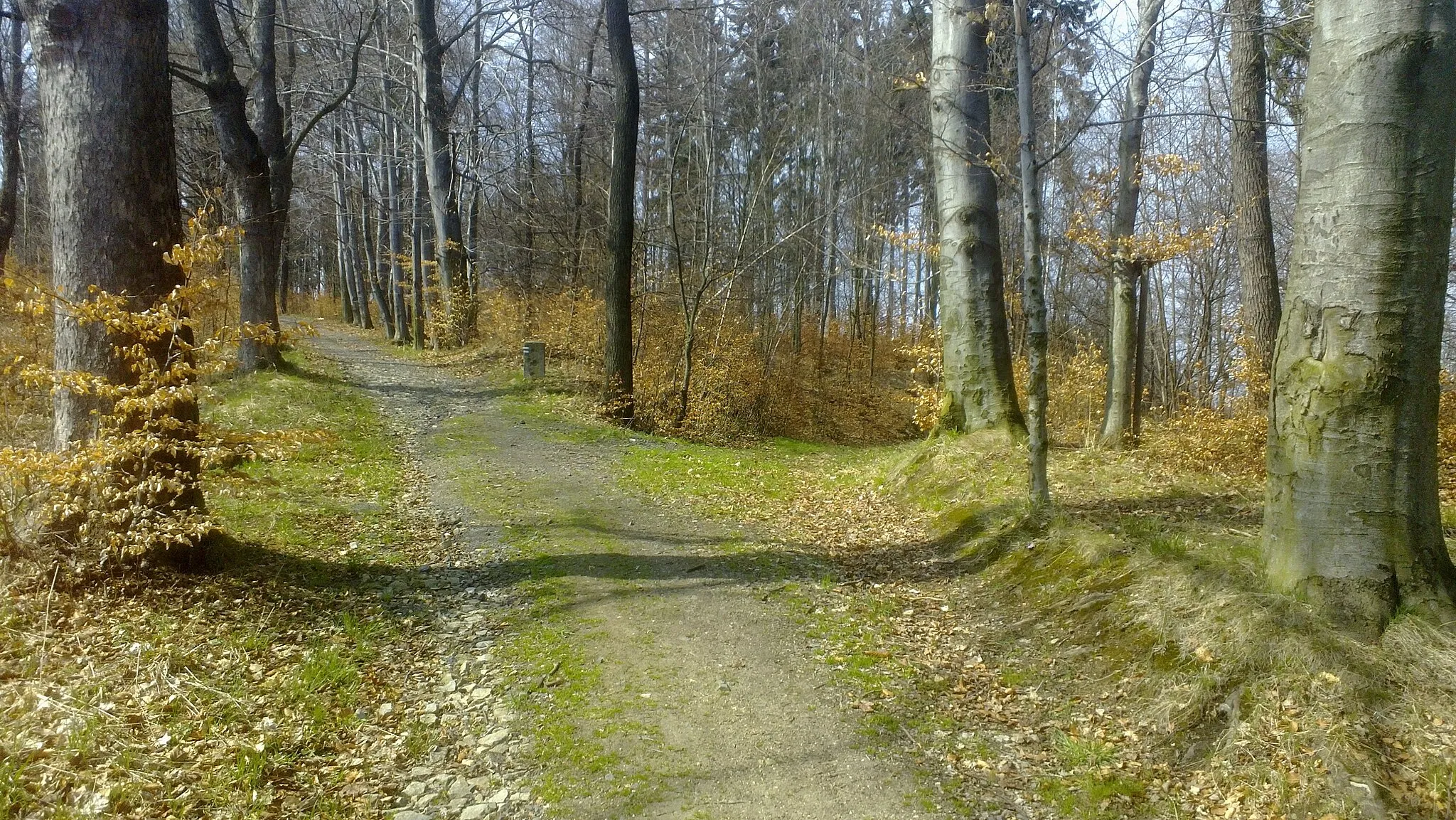 Photo showing: Park krajobrazowy Park Krajobrazowy Doliny Bobru.
(A po środku idealne miejsce na wypoczynek i podziwianie widoków)