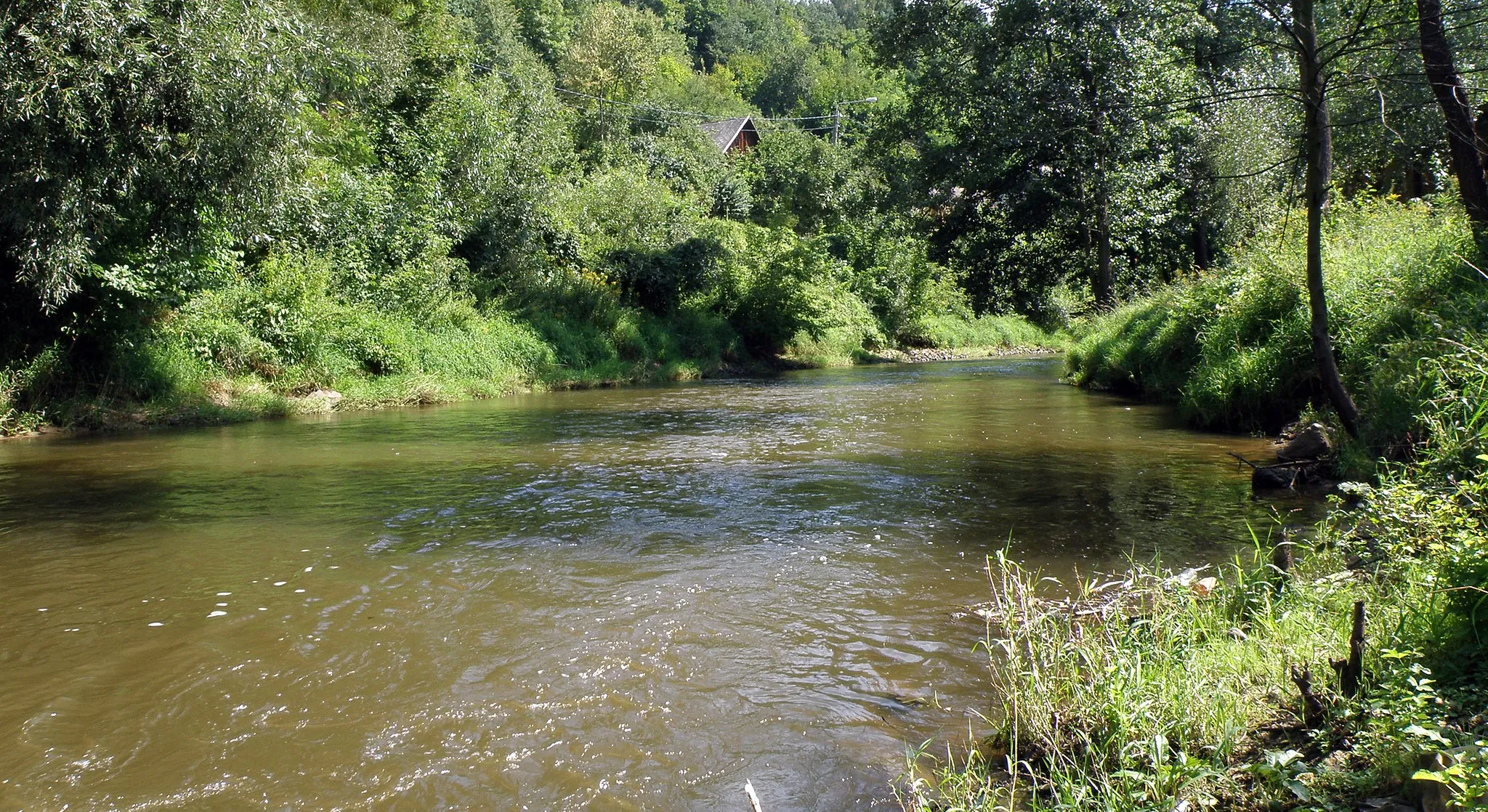 Photo showing: Bałtów - rzeka Kamienna