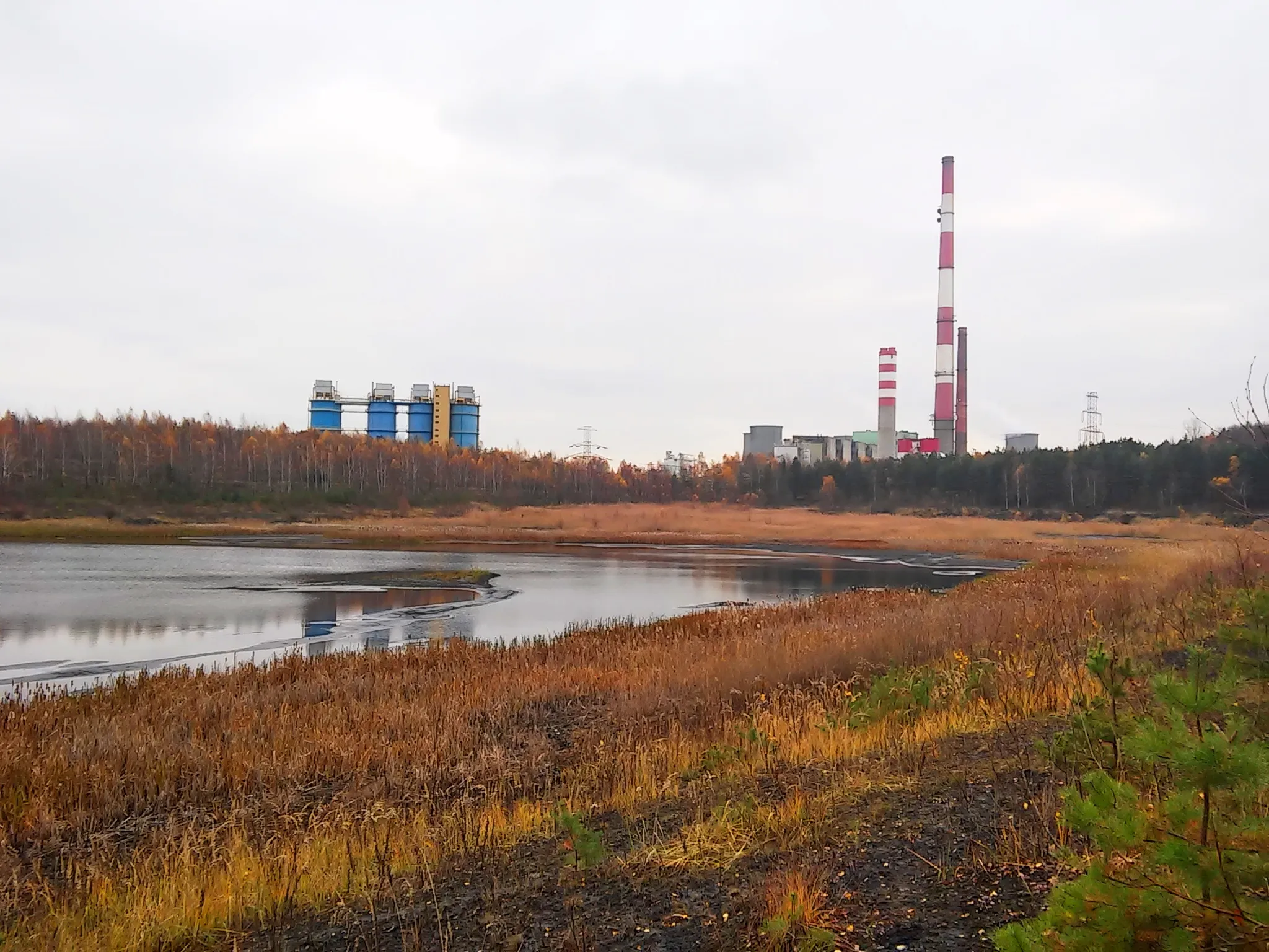 Photo showing: Staw Osadowy po Kopalni Siersza