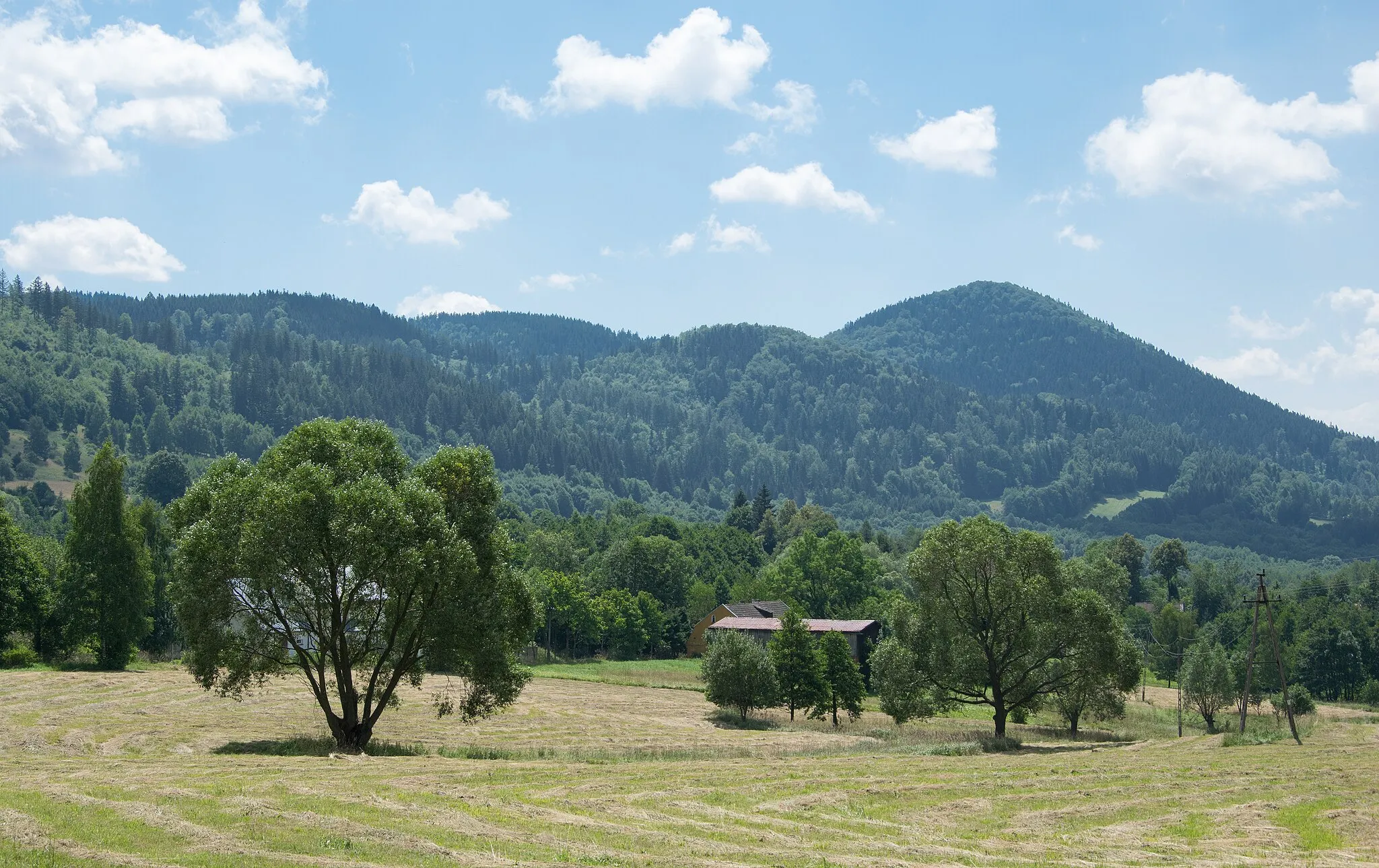 Photo showing: Przednia i Igliczna, Śnieżnik Mountains, Sudetes