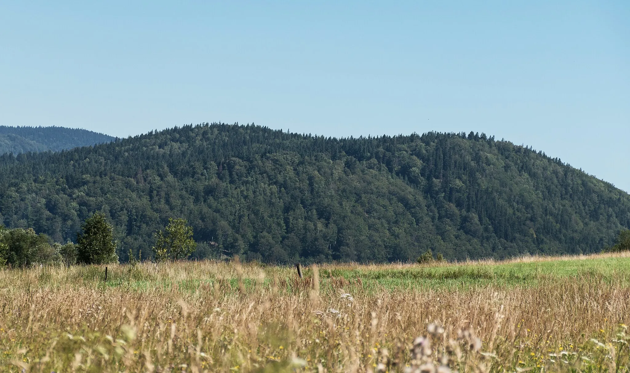 Photo showing: Sowia Kopa, Złote Mountains, Sudetes