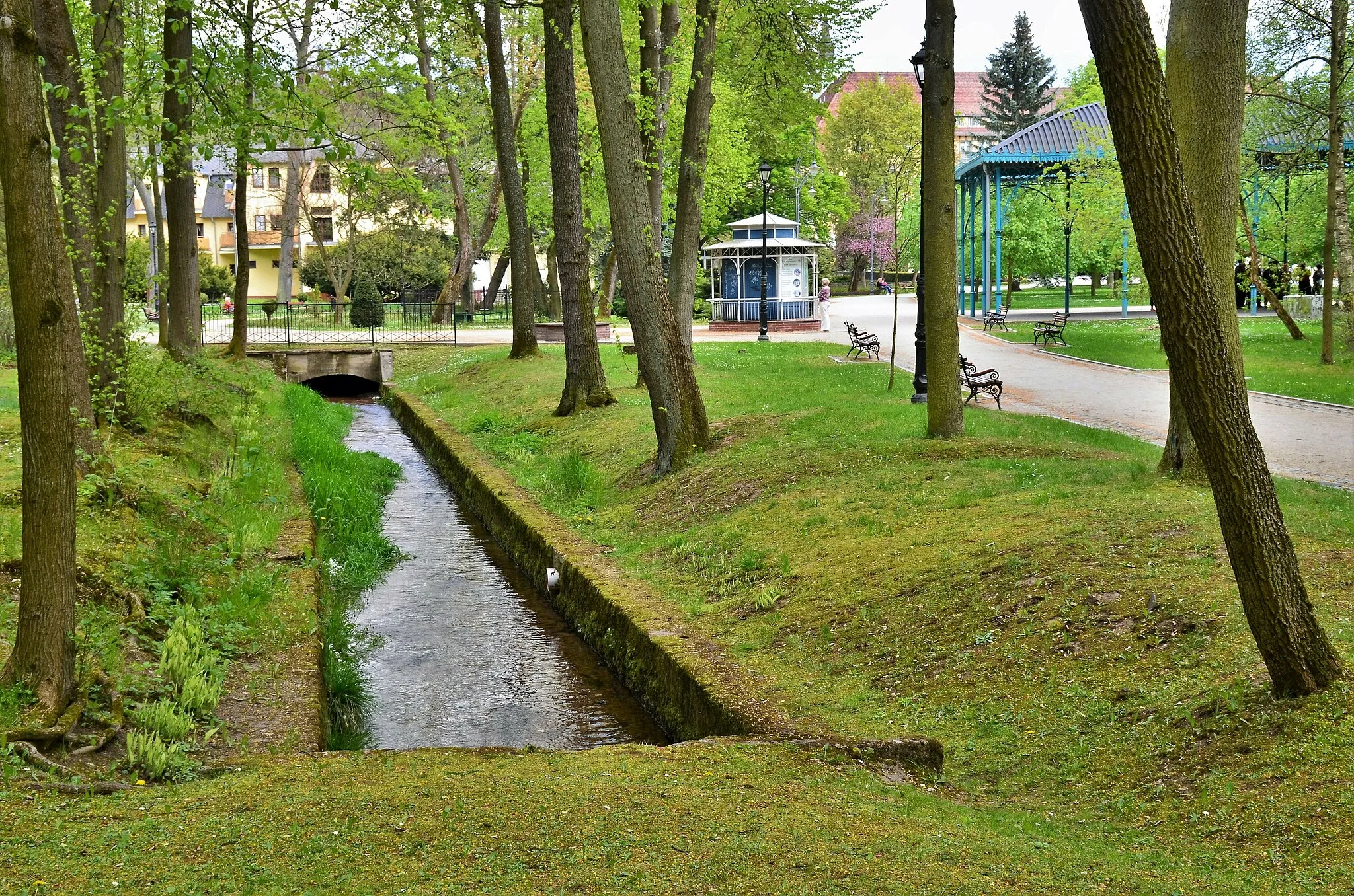 Photo showing: Potůček v lázeňském parku