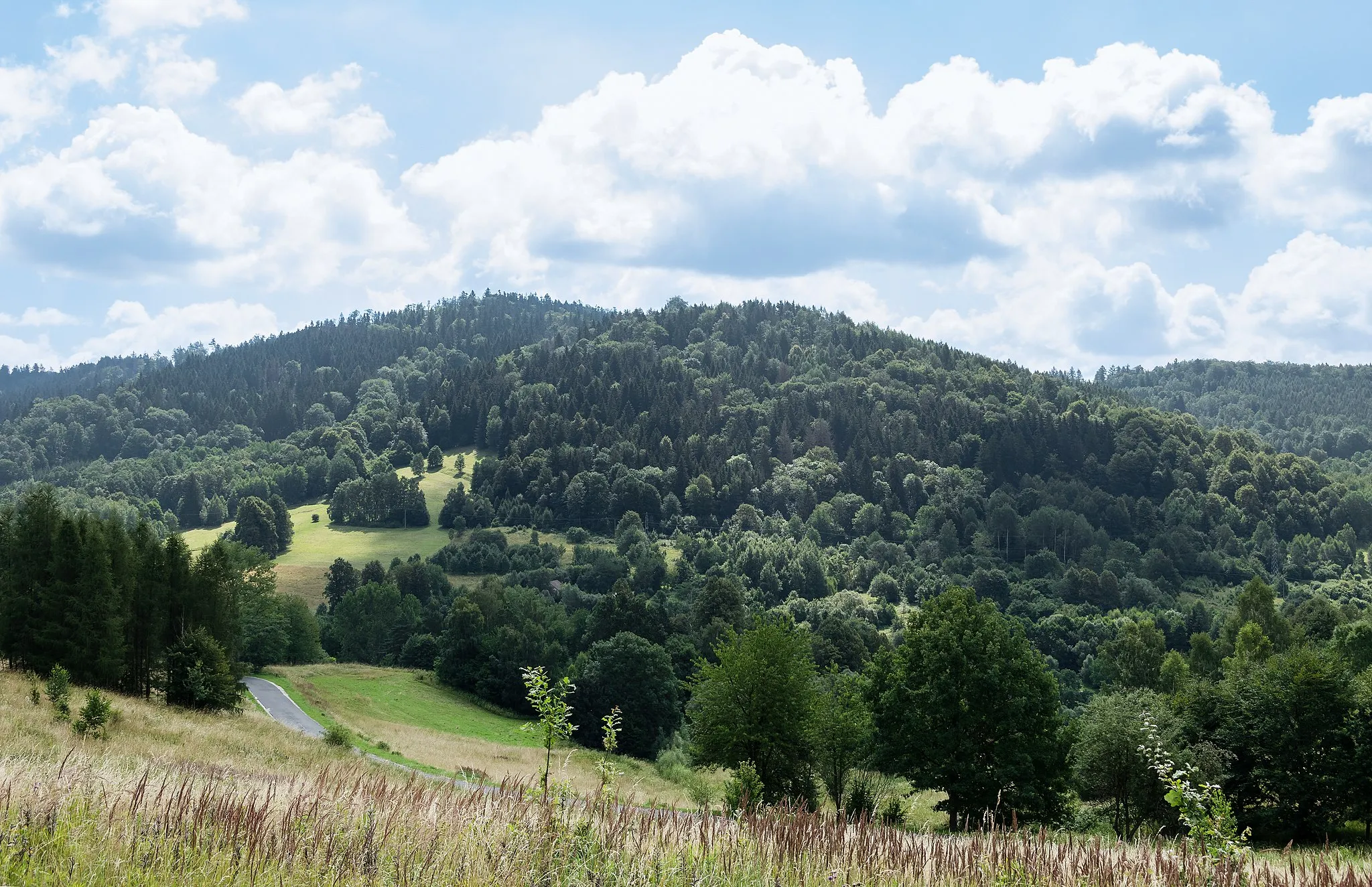 Photo showing: Mała Wilcza Góra i Dranica, Złote Mountans, Sudetes