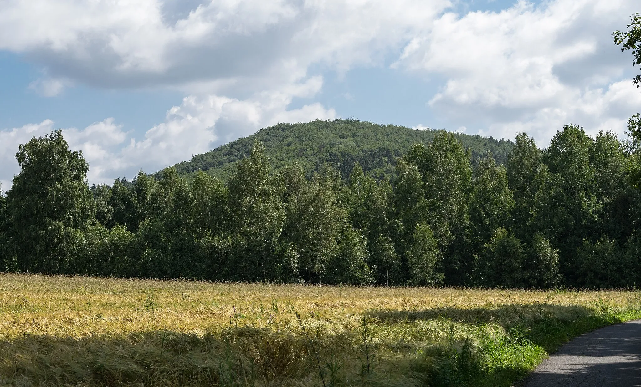 Photo showing: Sokolec, Złote Mountains, Sudetes