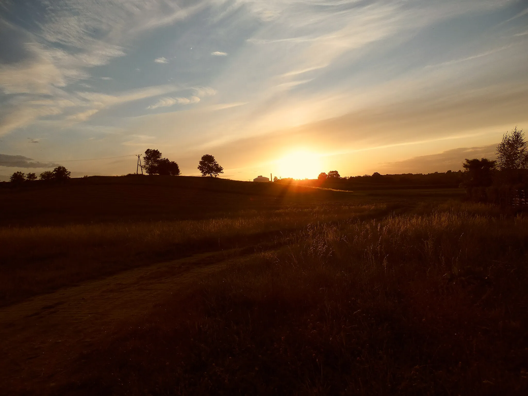 Photo showing: Gmina Strzelin, Poland