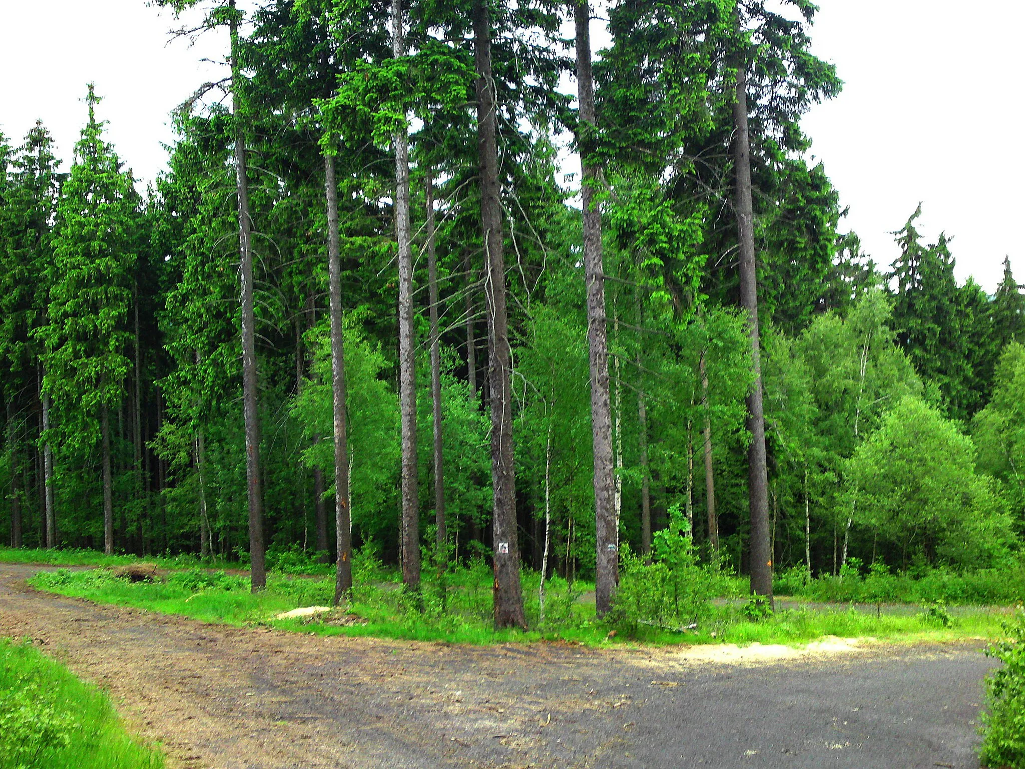 Photo showing: Skrzyżowanie