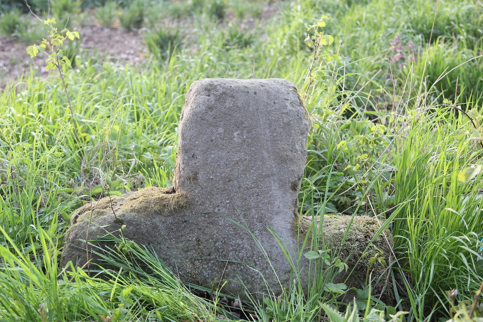 Photo showing: Stone cross in Łagiewniki Średzkie