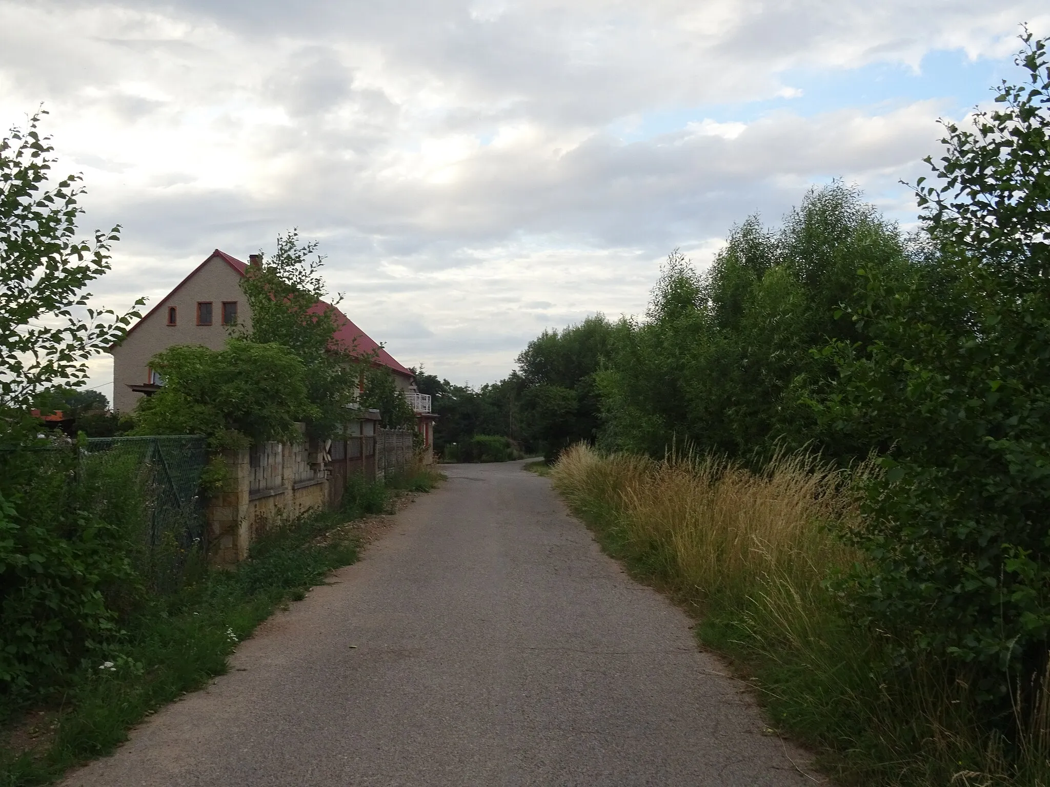 Photo showing: This photograph was created as a part of Wikiexpedition Lower Silesia, a project supported by Wikimedia Poland grant.