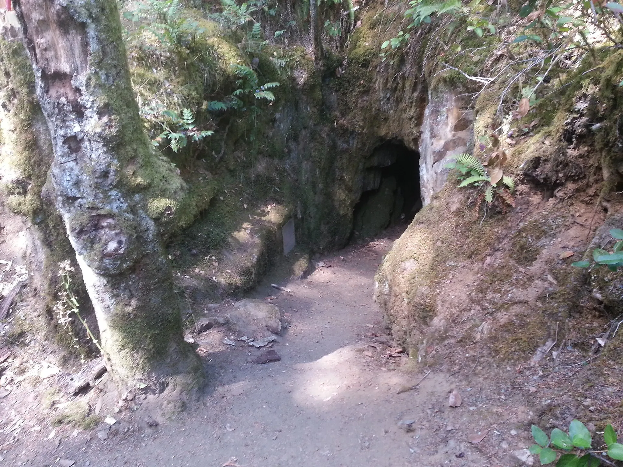 Photo showing: Entrance to abandoned gold mine in Goldstream park leftover from a short lived gold rush at Goldstream, just outside of Victoria, British Columbia in 1863.