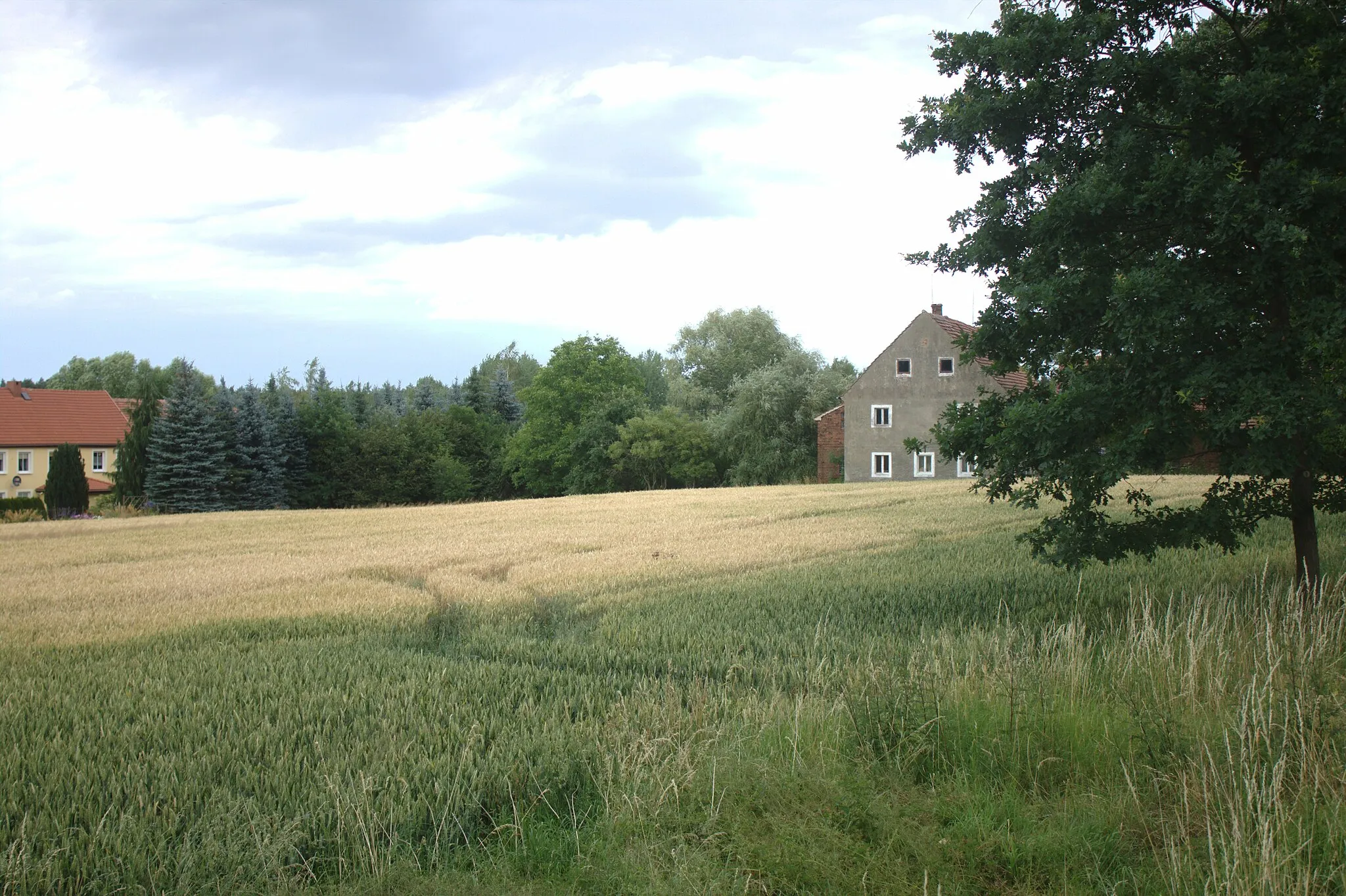 Photo showing: This photograph was created as a part of Wikiexpedition Lower Silesia, a project supported by Wikimedia Poland grant.