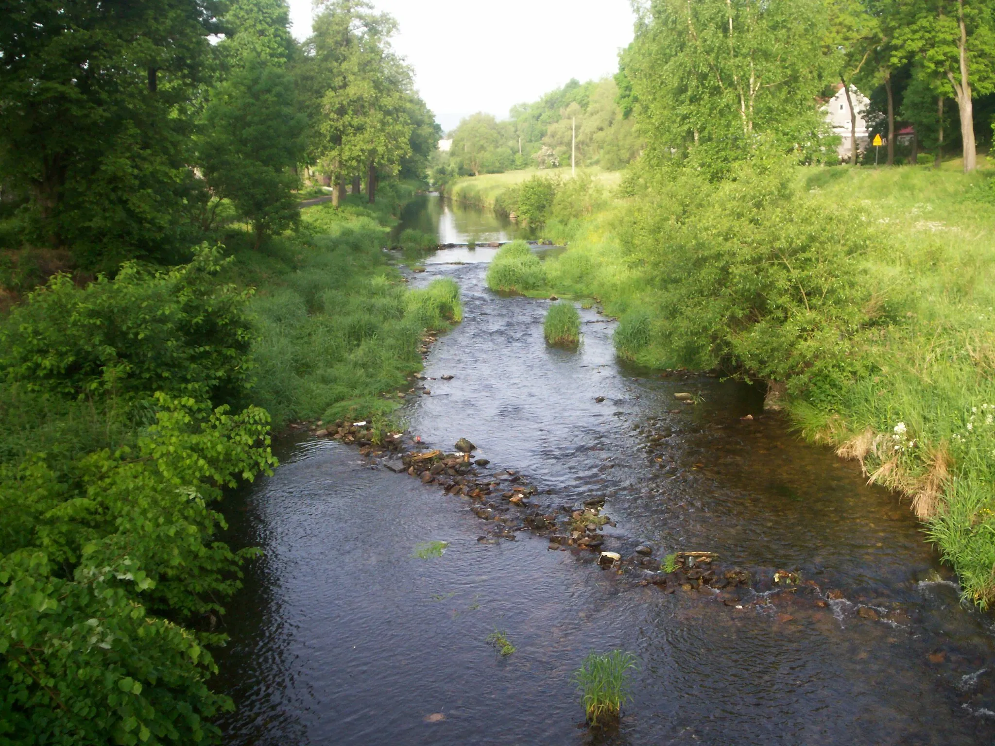 Photo showing: Rzeka Kamienica w Barcinku.