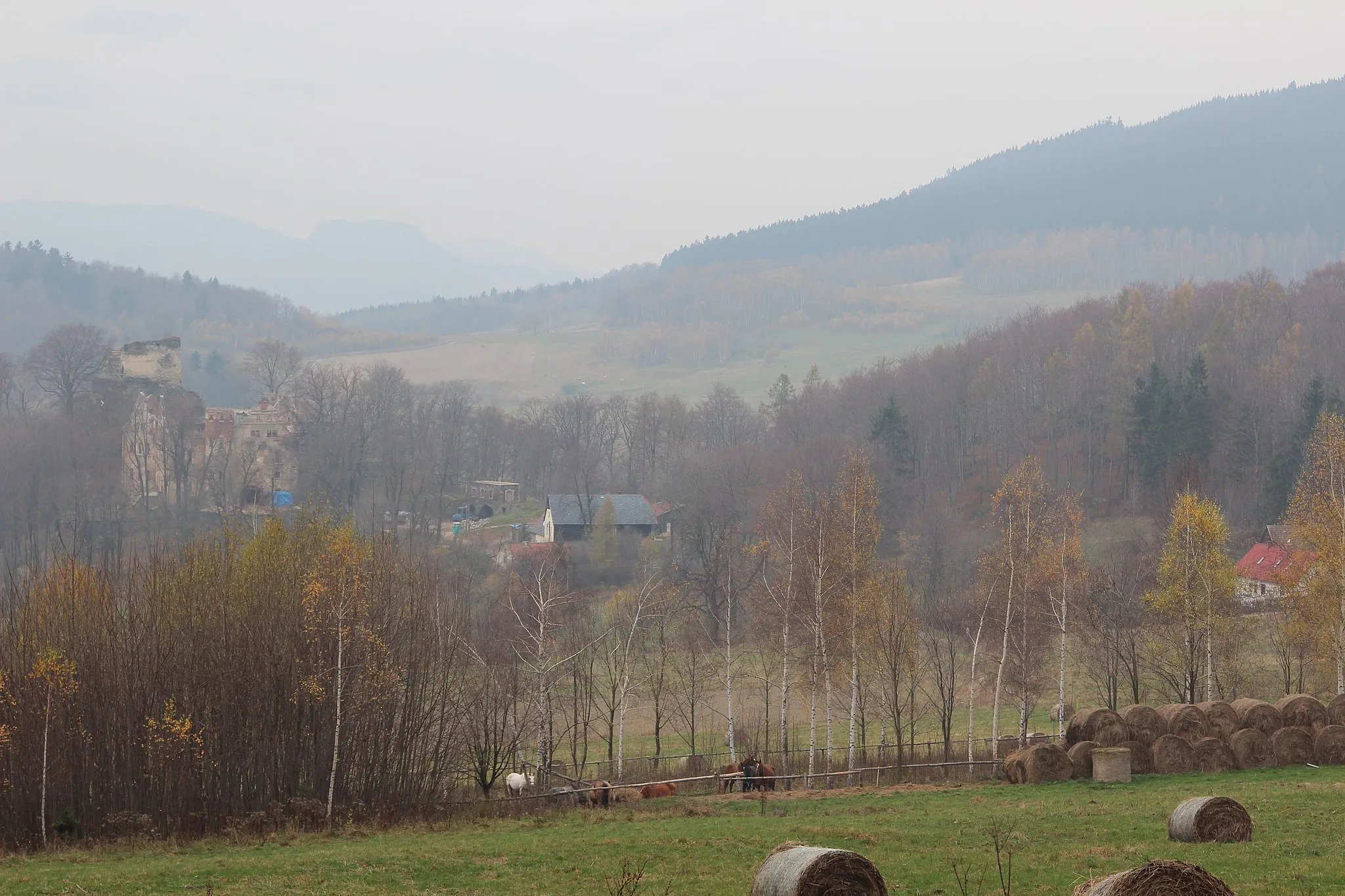 Photo showing: General view of Płonina.