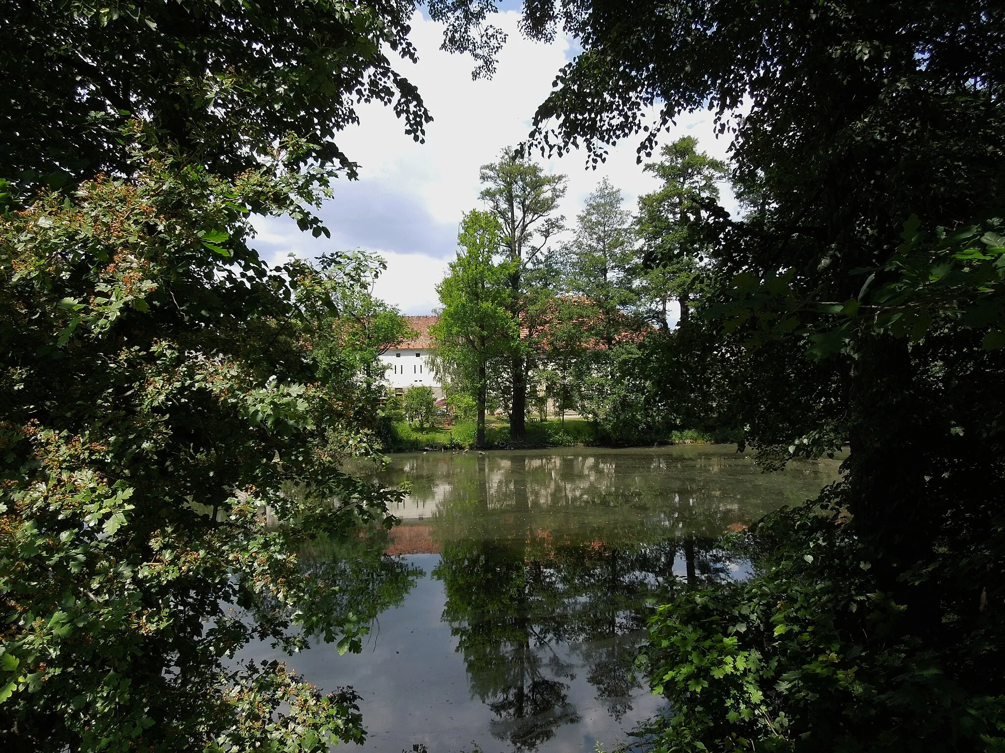 Photo showing: Osetnica (German: Steinsdorf): view across the pond towards the erstwhile manor