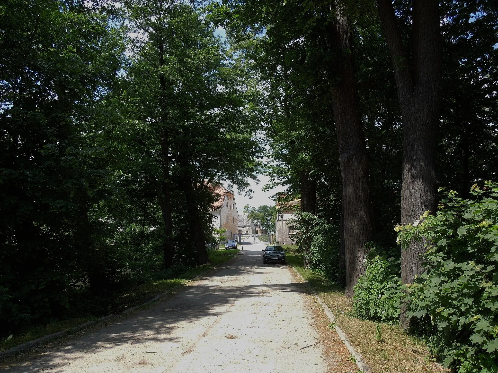Photo showing: Osetnica (German: Steinsdorf), driveway from the main road to the erstwhile baronial manor