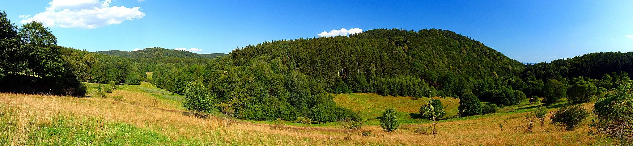 Photo showing: Łopianka mountain near Wilcza village.