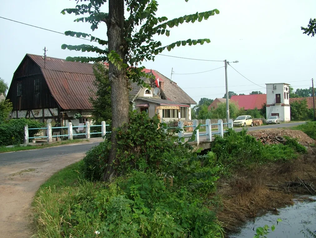 Photo showing: Pond in the village "Kuźniczysko" today.
