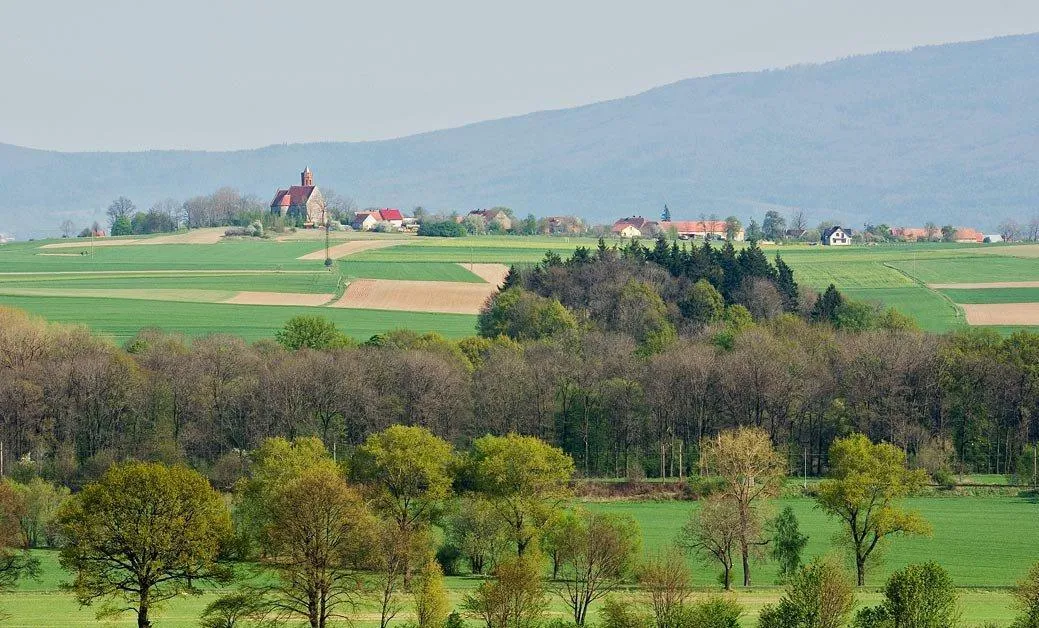 Photo showing: Pożarzysko od zachodu.