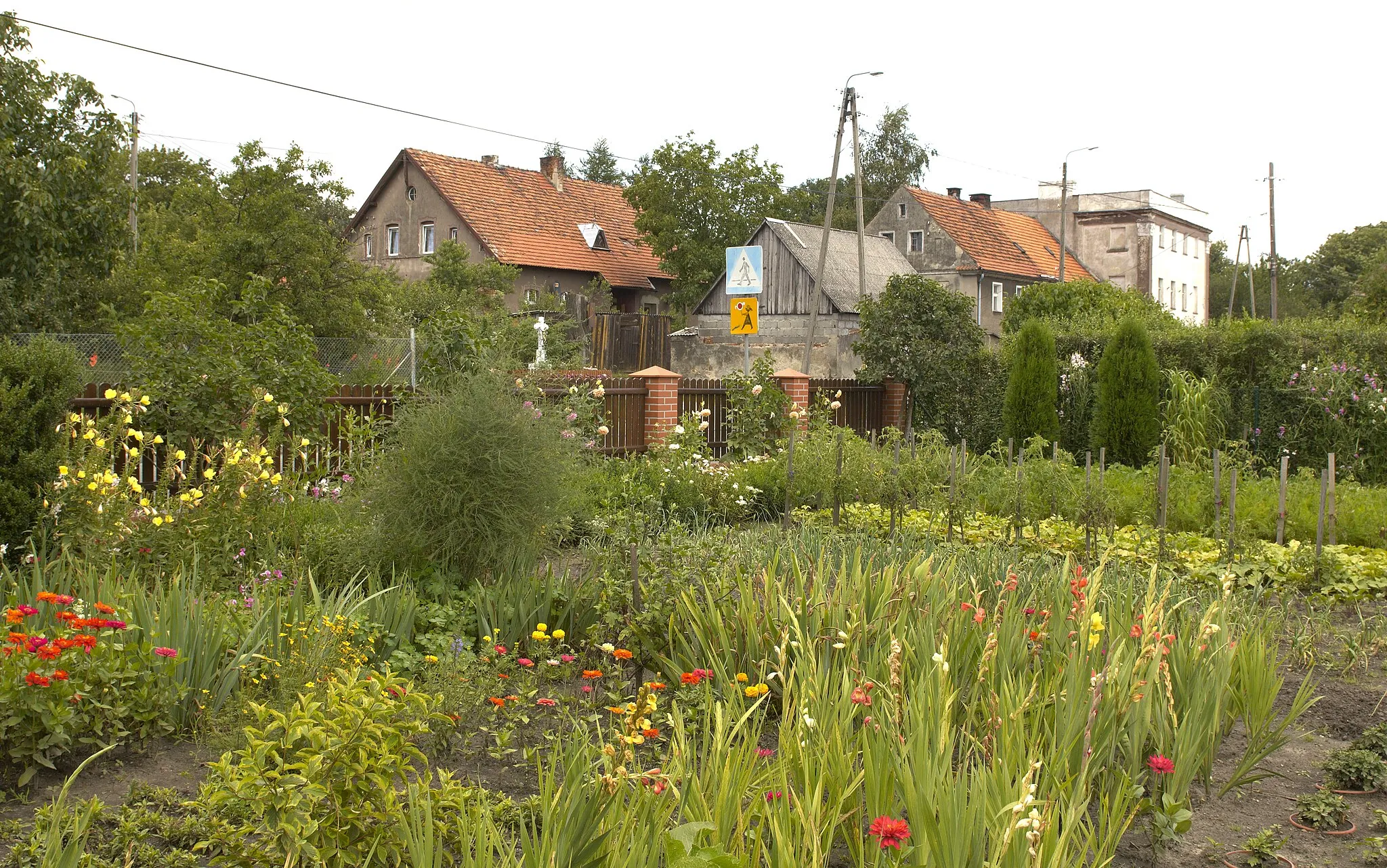 Photo showing: Książnica - ogród Teściowej