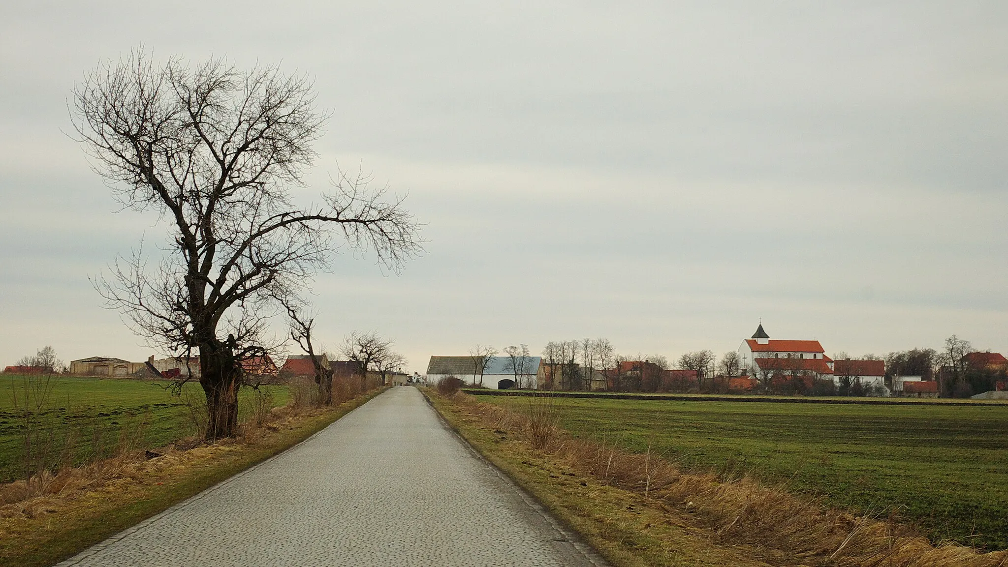 Photo showing: Karszów, view from the road Kondratowice - Karszów.
