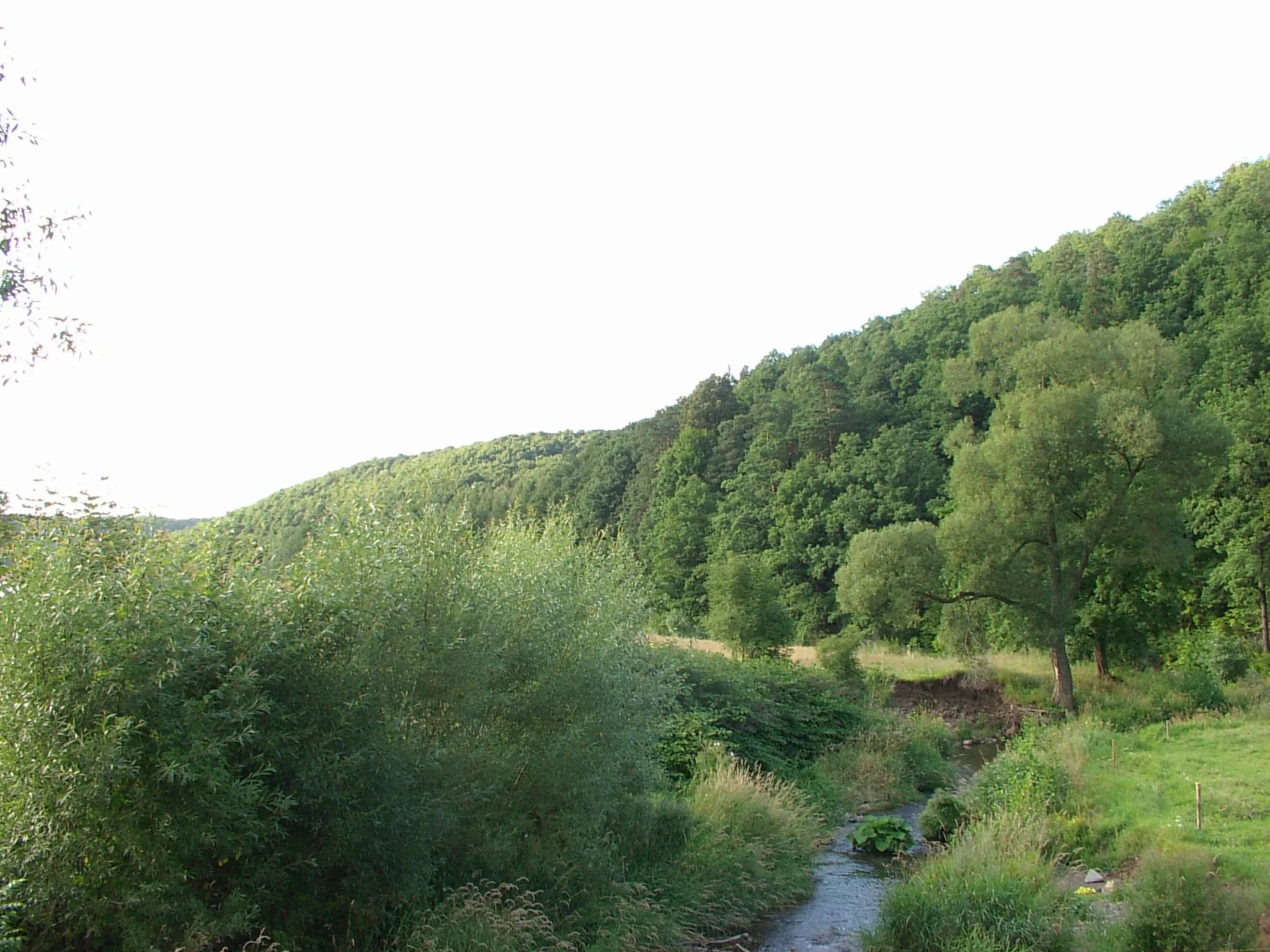Photo showing: Rzeka Strzegomka we wsi Chwaliszów