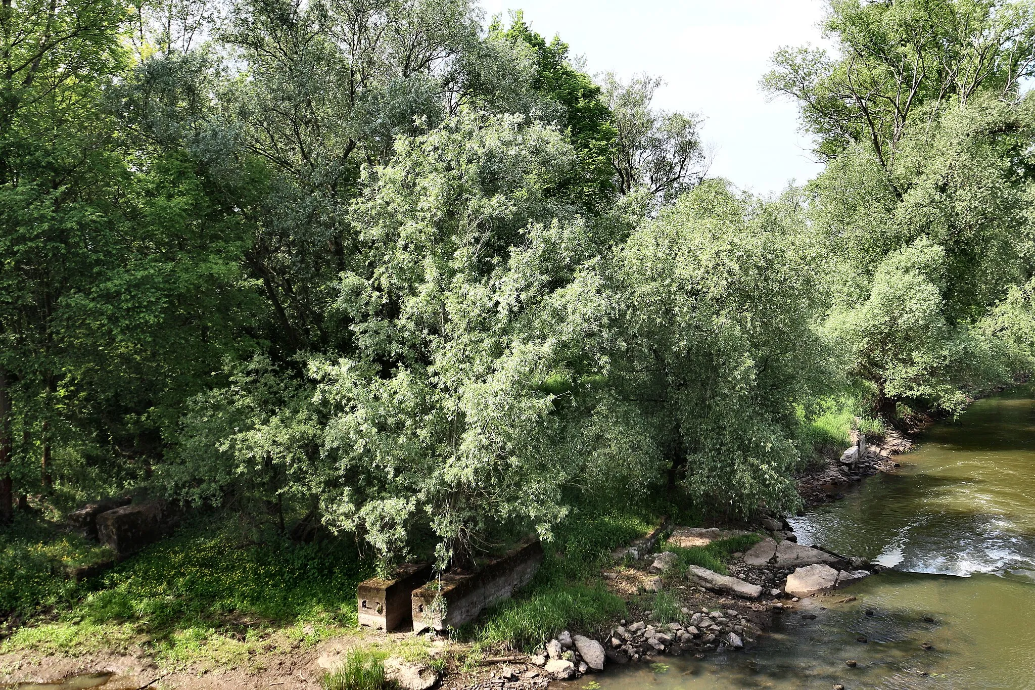 Photo showing: Barycz w miejscowości Wyszanów