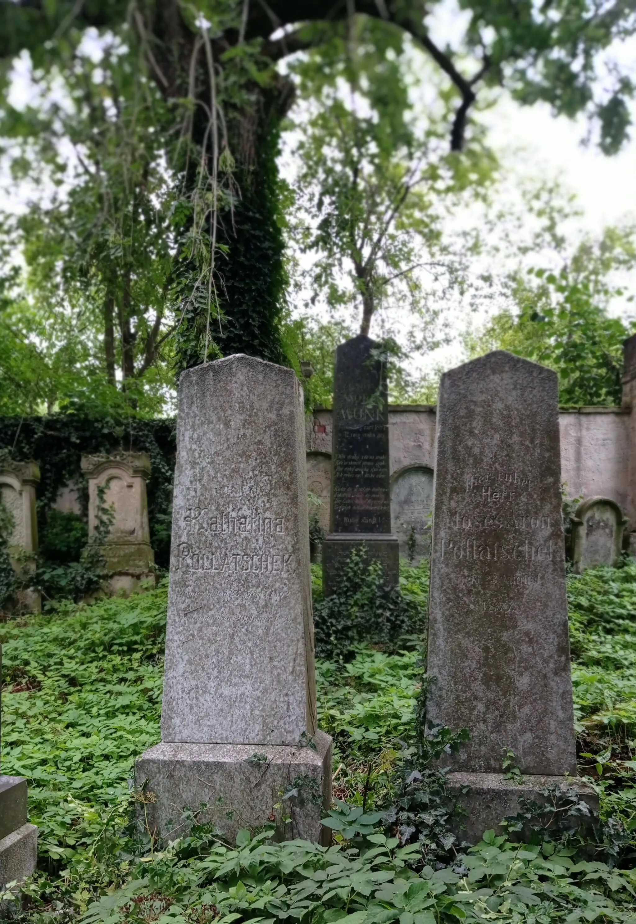 Photo showing: Gravestones in the Jewish cemetery in Rychnov nad Kněžnou, Hradec Králové Region, Czechia