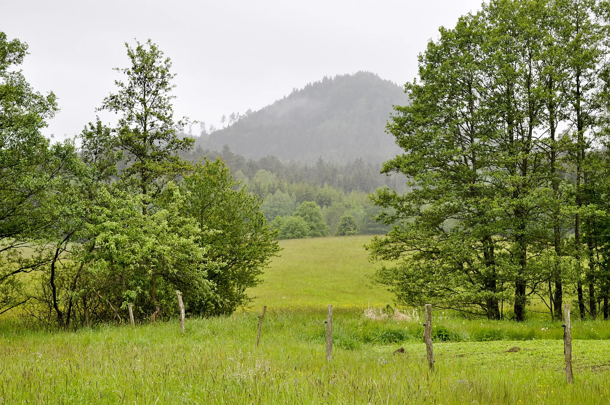 Photo showing: mountain in Křinice, Náchod District Czech Republic