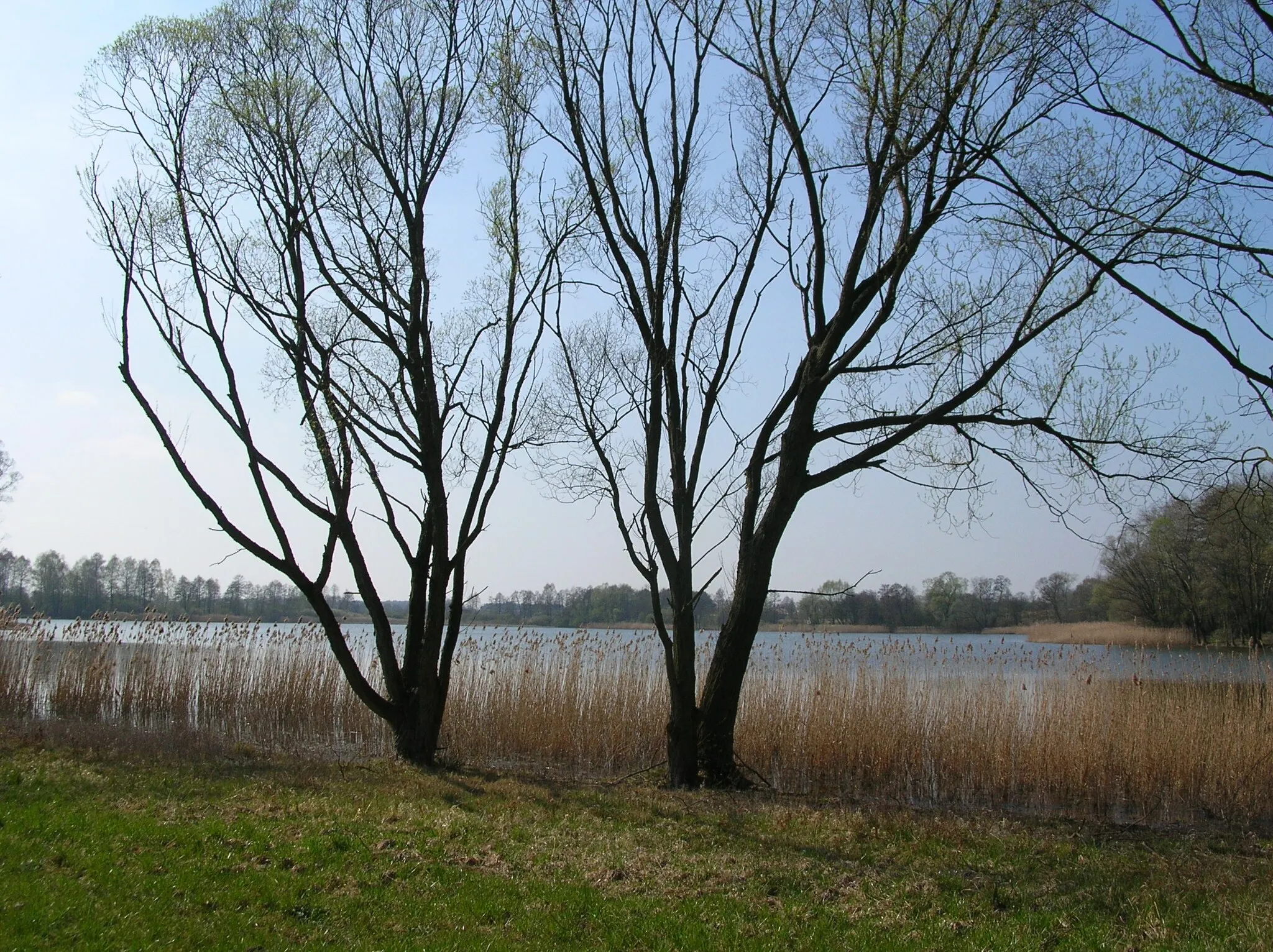 Photo showing: Rogowskie Lake