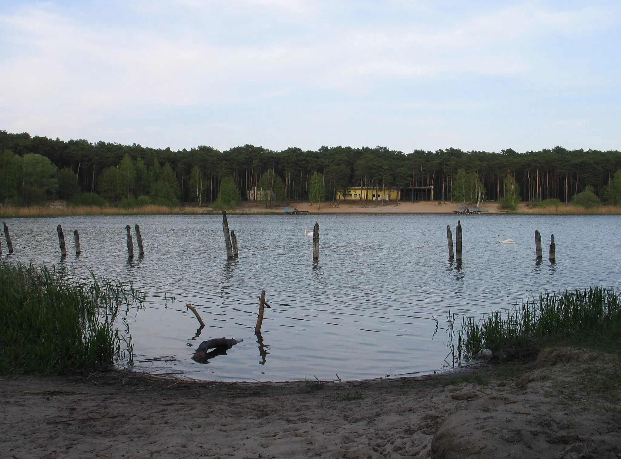 Photo showing: Lake Czarne, Włocławek, Poland