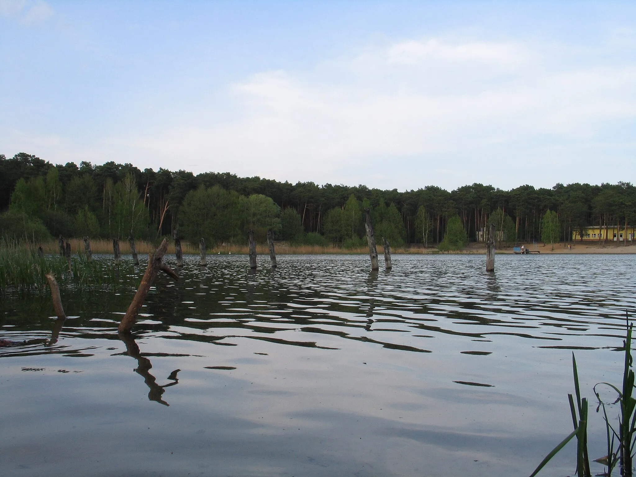 Photo showing: Lake Czarne, Włocławek, Poland