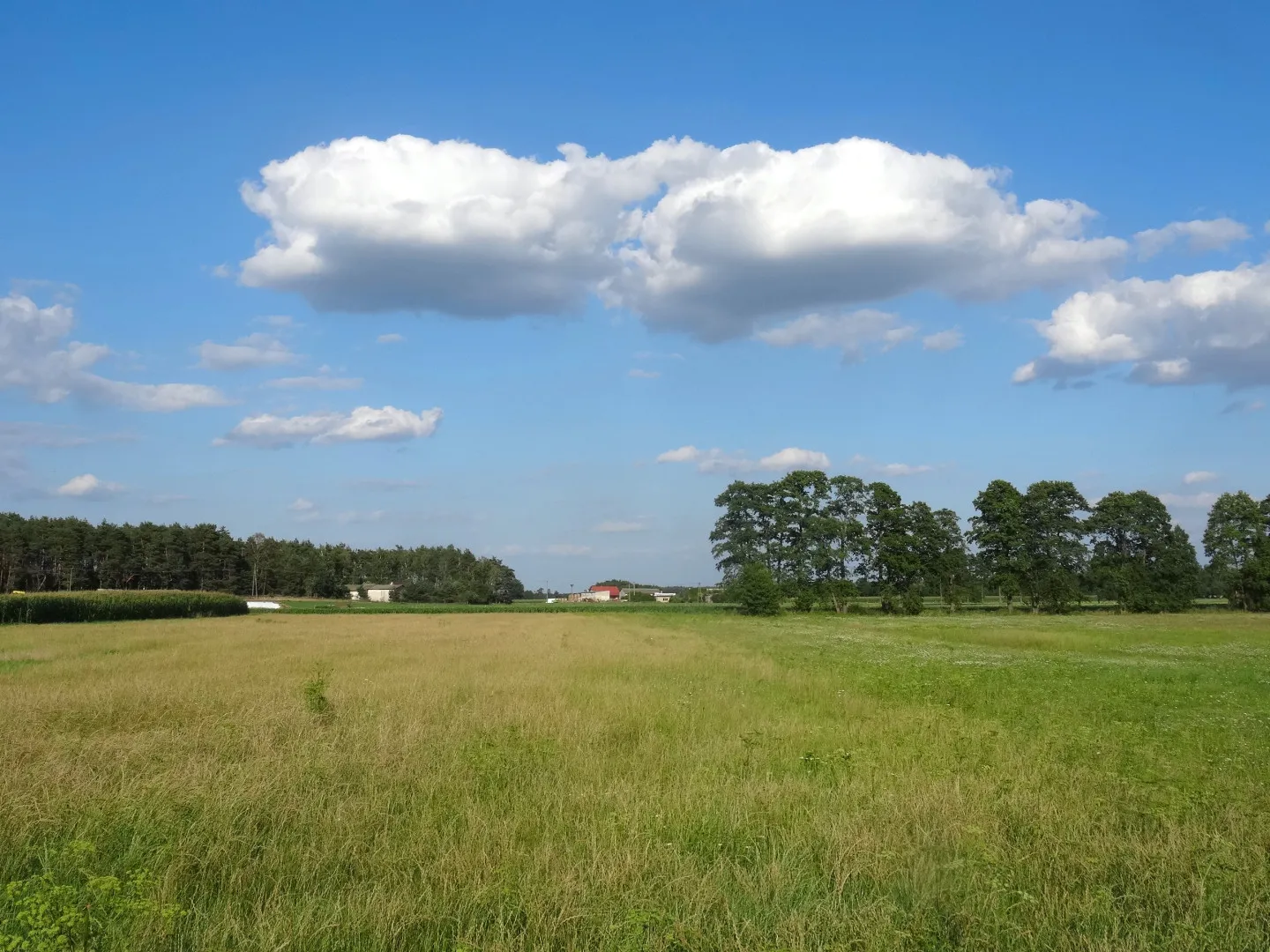 Photo showing: Jeżewice, gm. Łabiszyn